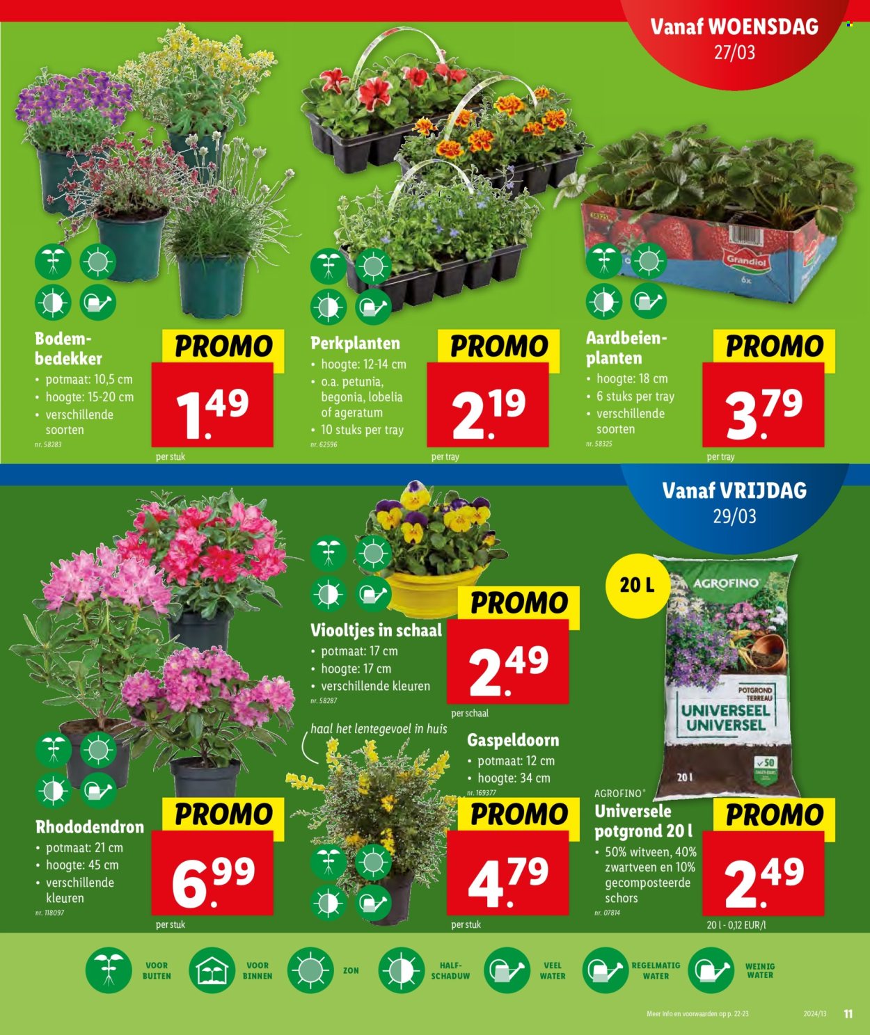 Catalogue Lidl - 27.3.2024 - 2.4.2024. Page 11.