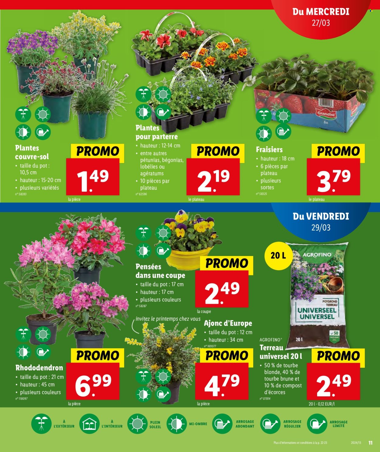 Catalogue Lidl - 27.3.2024 - 2.4.2024. Page 11.