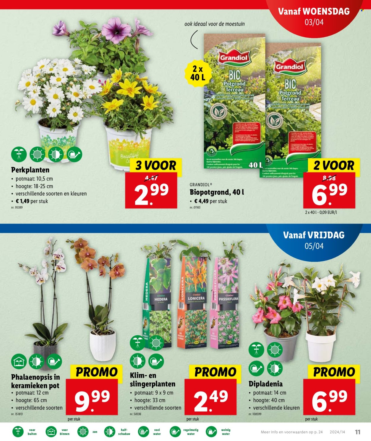 Catalogue Lidl - 3.4.2024 - 9.4.2024. Page 13.