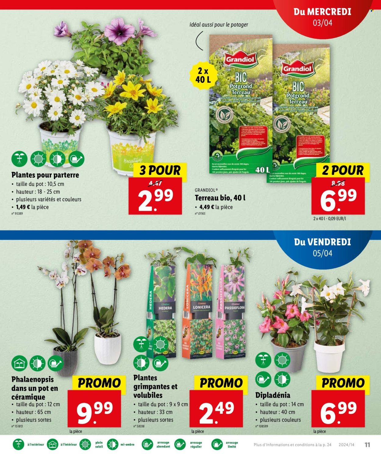 Catalogue Lidl - 3.4.2024 - 9.4.2024. Page 13.