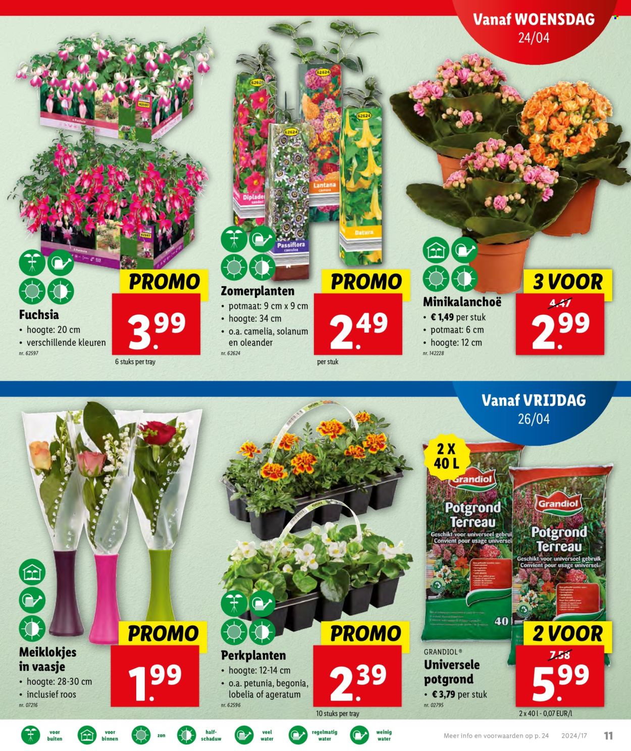 Catalogue Lidl - 24.4.2024 - 30.4.2024. Page 17.