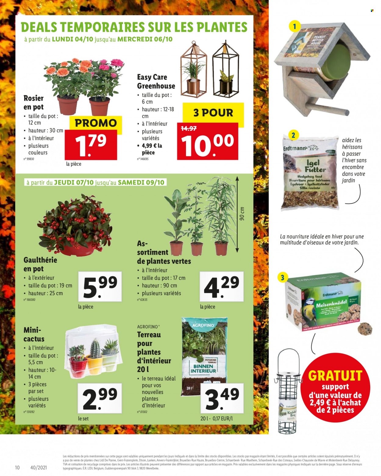 Catalogue Lidl - 4.10.2021 - 9.10.2021. Page 10.