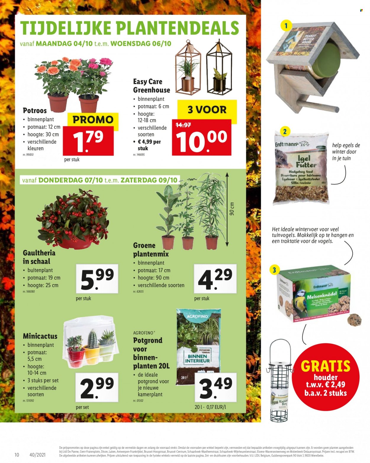 Catalogue Lidl - 4.10.2021 - 9.10.2021. Page 10.