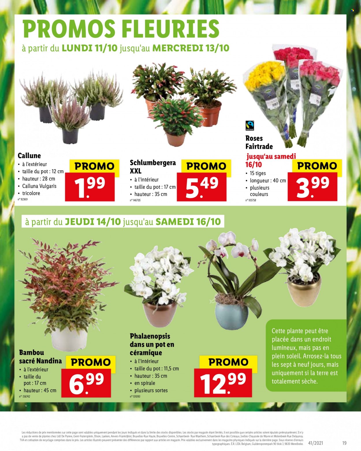Catalogue Lidl - 11.10.2021 - 16.10.2021. Page 21.