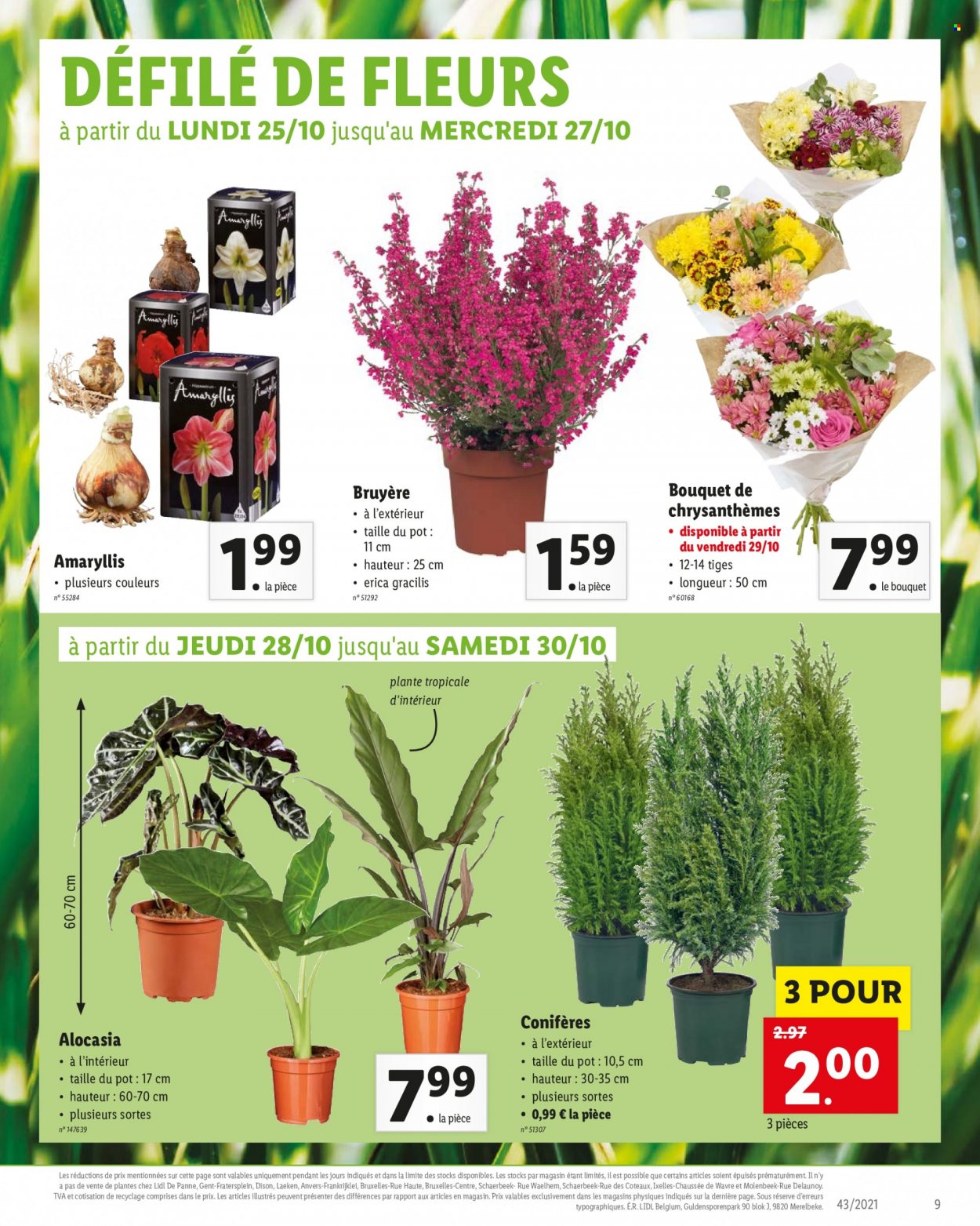 Catalogue Lidl - 25.10.2021 - 30.10.2021. Page 23.
