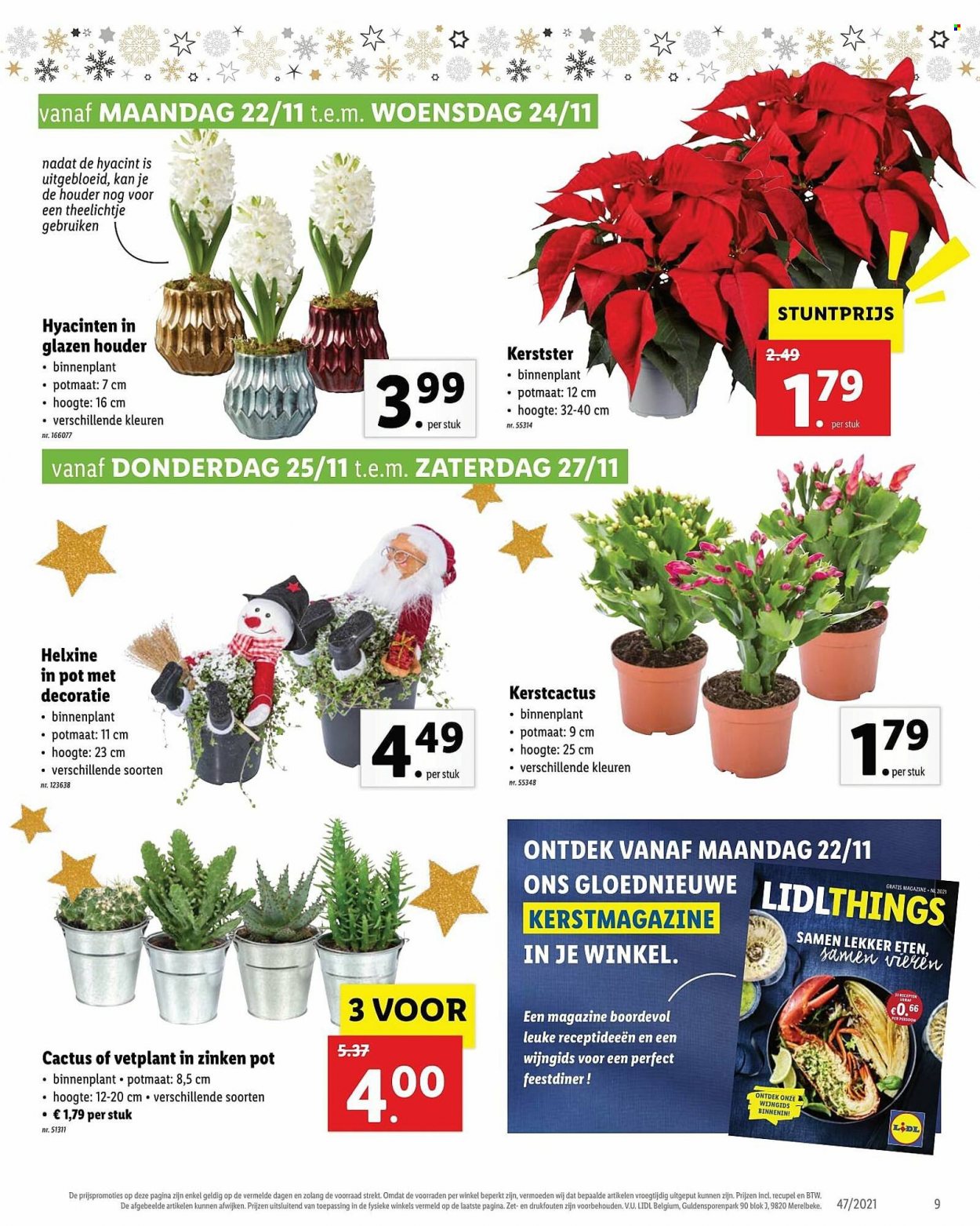 Catalogue Lidl - 22.11.2021 - 27.11.2021. Page 9.
