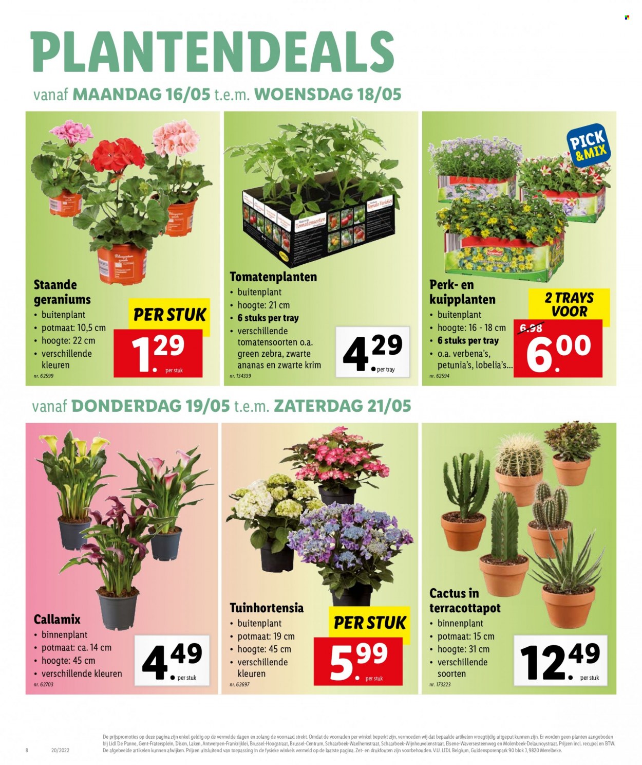 Catalogue Lidl - 16.5.2022 - 21.5.2022. Page 8.
