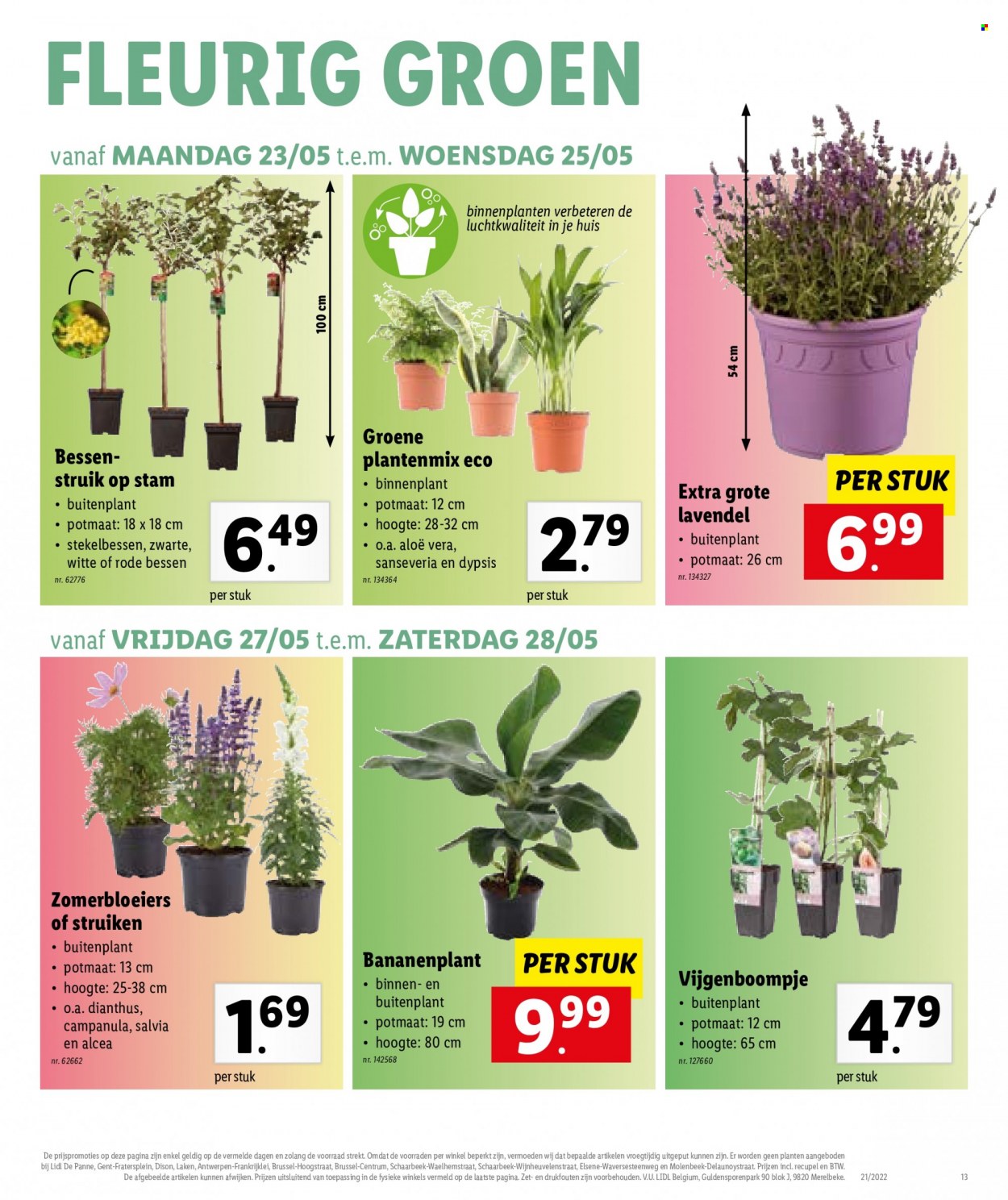 Catalogue Lidl - 23.5.2022 - 28.5.2022. Page 13.