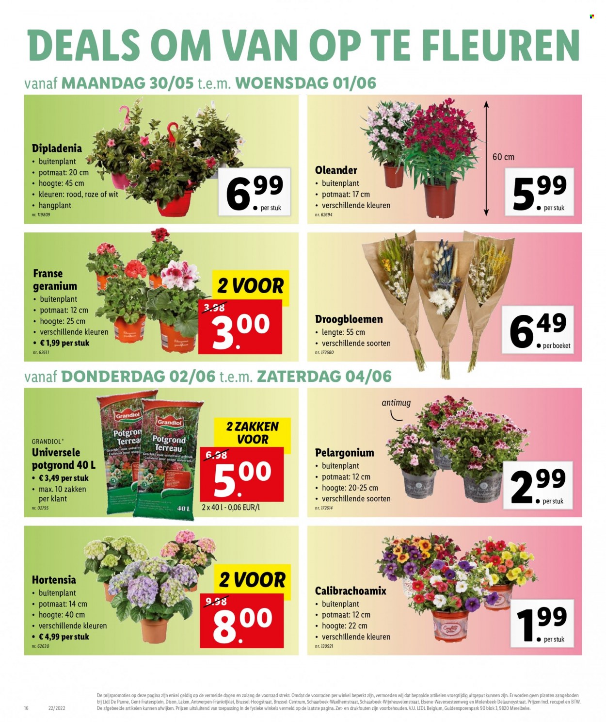 Catalogue Lidl - 30.5.2022 - 4.6.2022. Page 16.