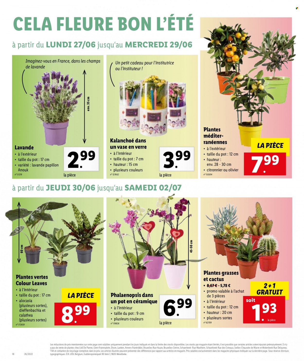 Catalogue Lidl - 27.6.2022 - 2.7.2022. Page 18.
