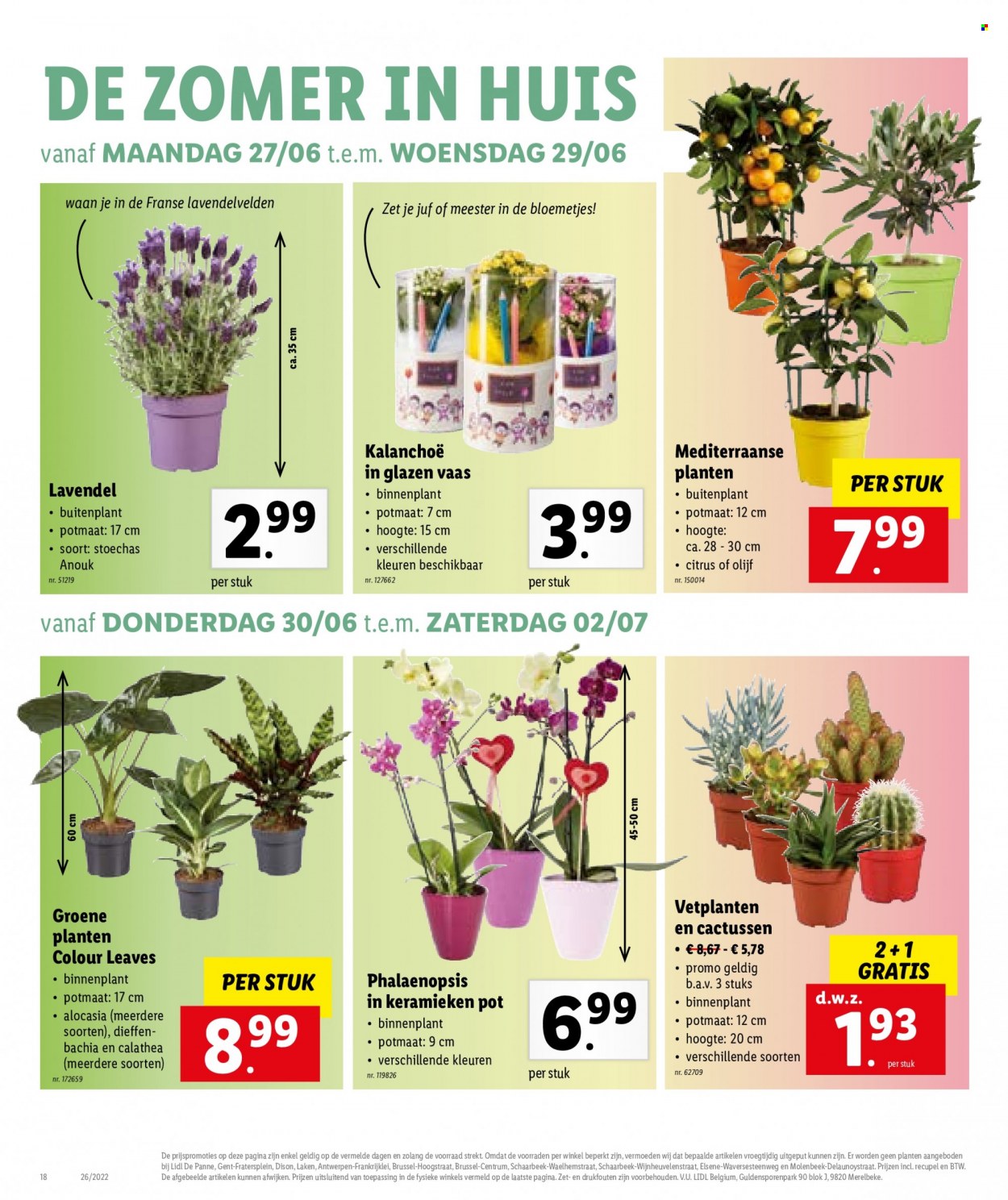 Catalogue Lidl - 27.6.2022 - 2.7.2022. Page 18.
