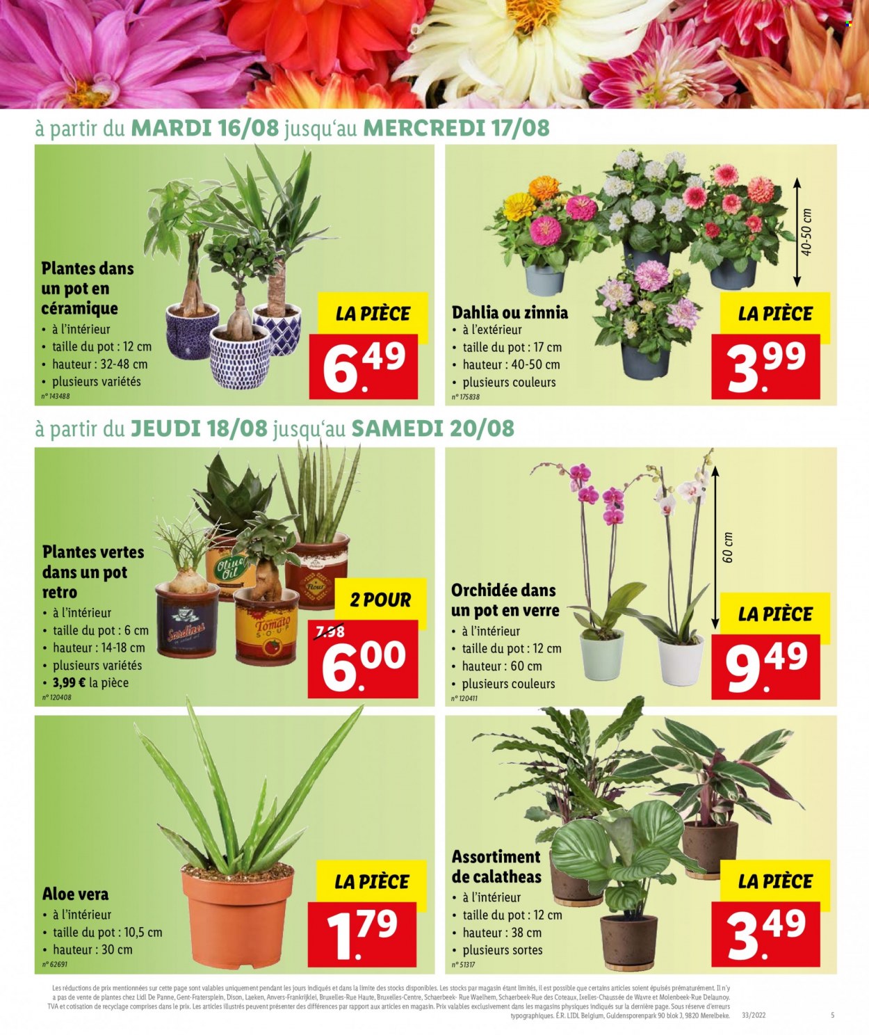 Catalogue Lidl - 16.8.2022 - 20.8.2022. Page 5.