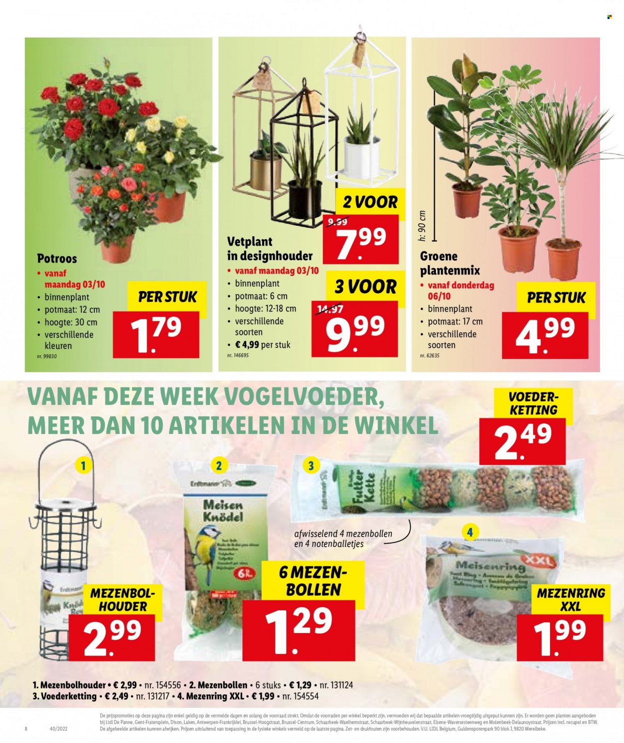 Catalogue Lidl - 3.10.2022 - 8.10.2022. Page 8.