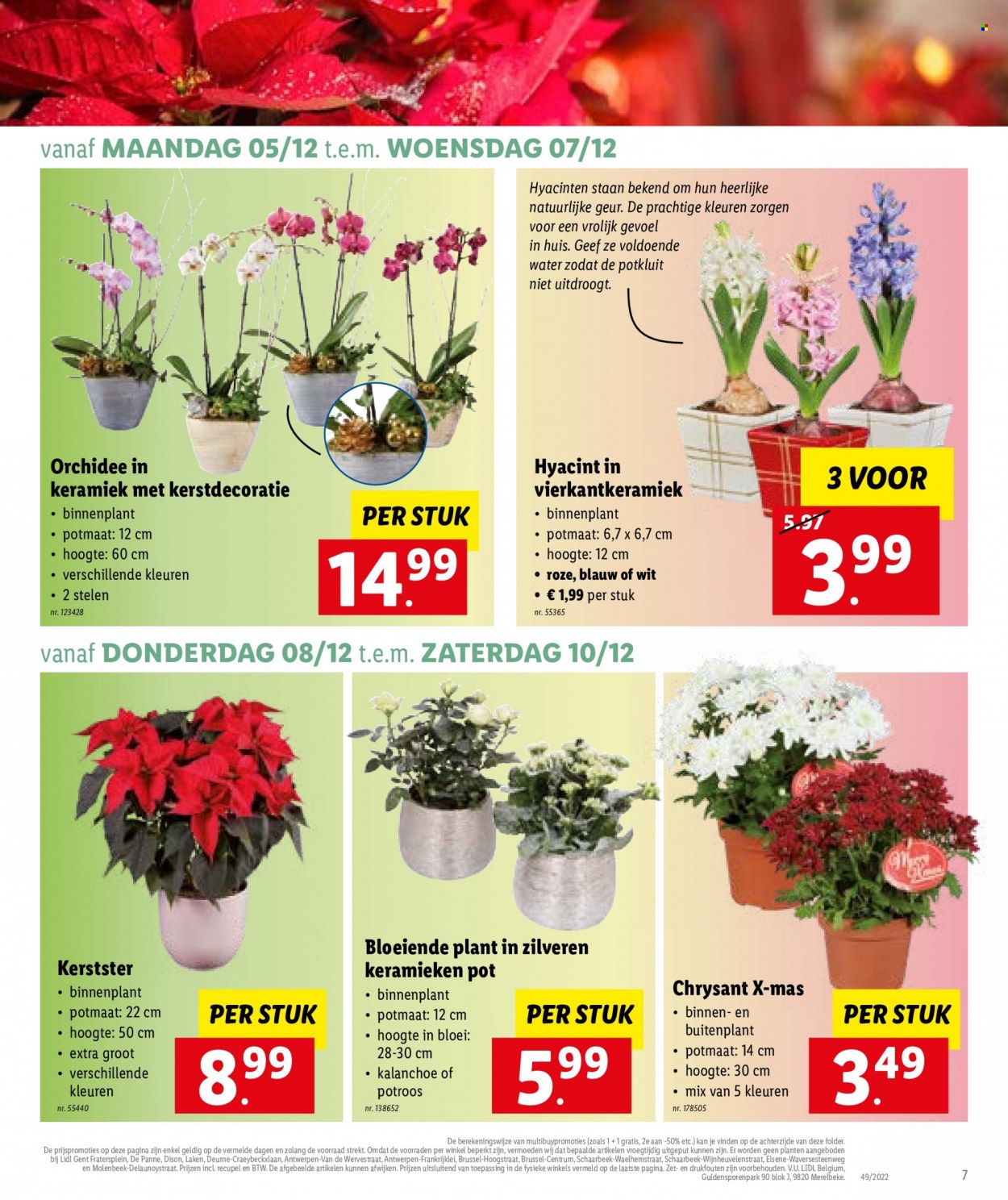 Catalogue Lidl - 5.12.2022 - 10.12.2022. Page 7.