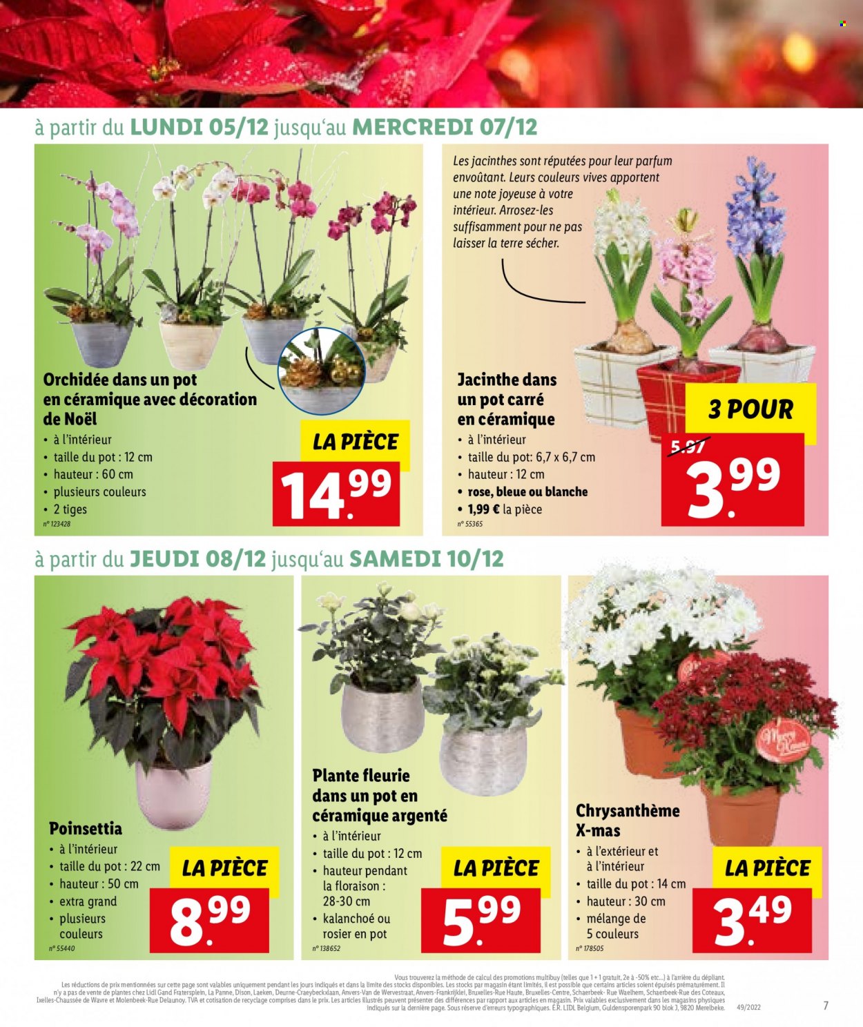 Catalogue Lidl - 5.12.2022 - 10.12.2022. Page 7.