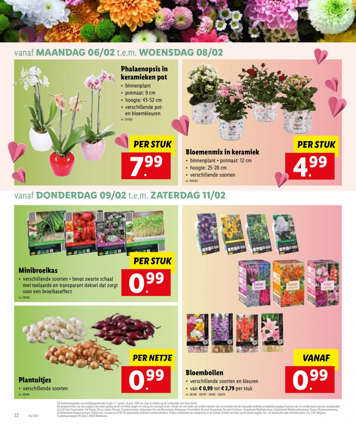 Catalogue Lidl - 6.2.2023 - 11.2.2023. Page 16.