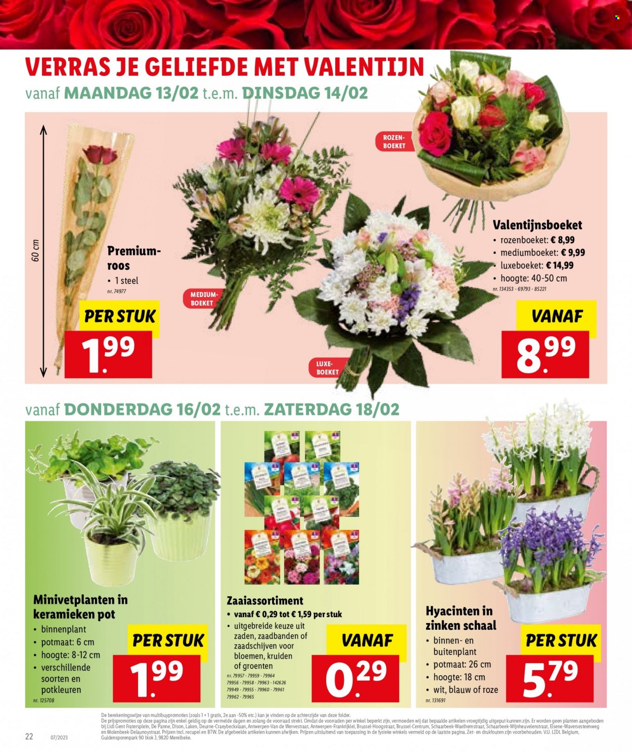 Catalogue Lidl - 13.2.2023 - 18.2.2023. Page 24.