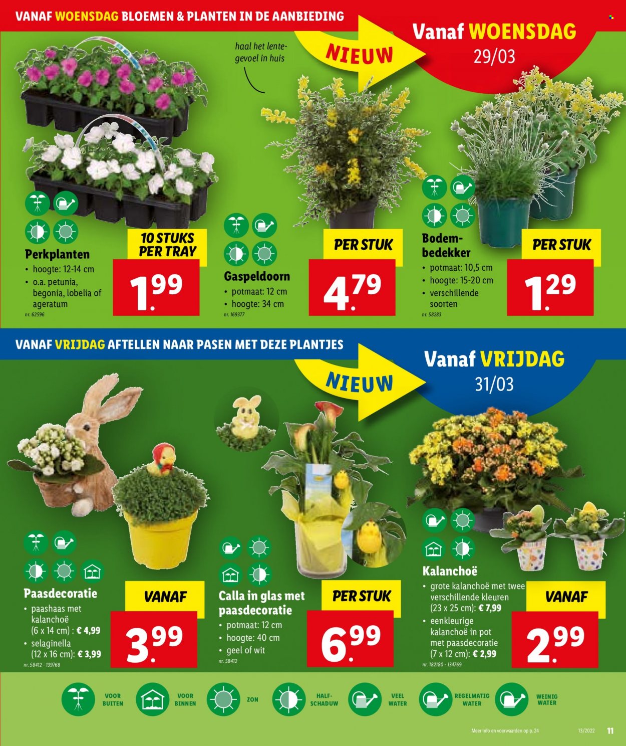 Catalogue Lidl - 29.3.2023 - 4.4.2023. Page 11.