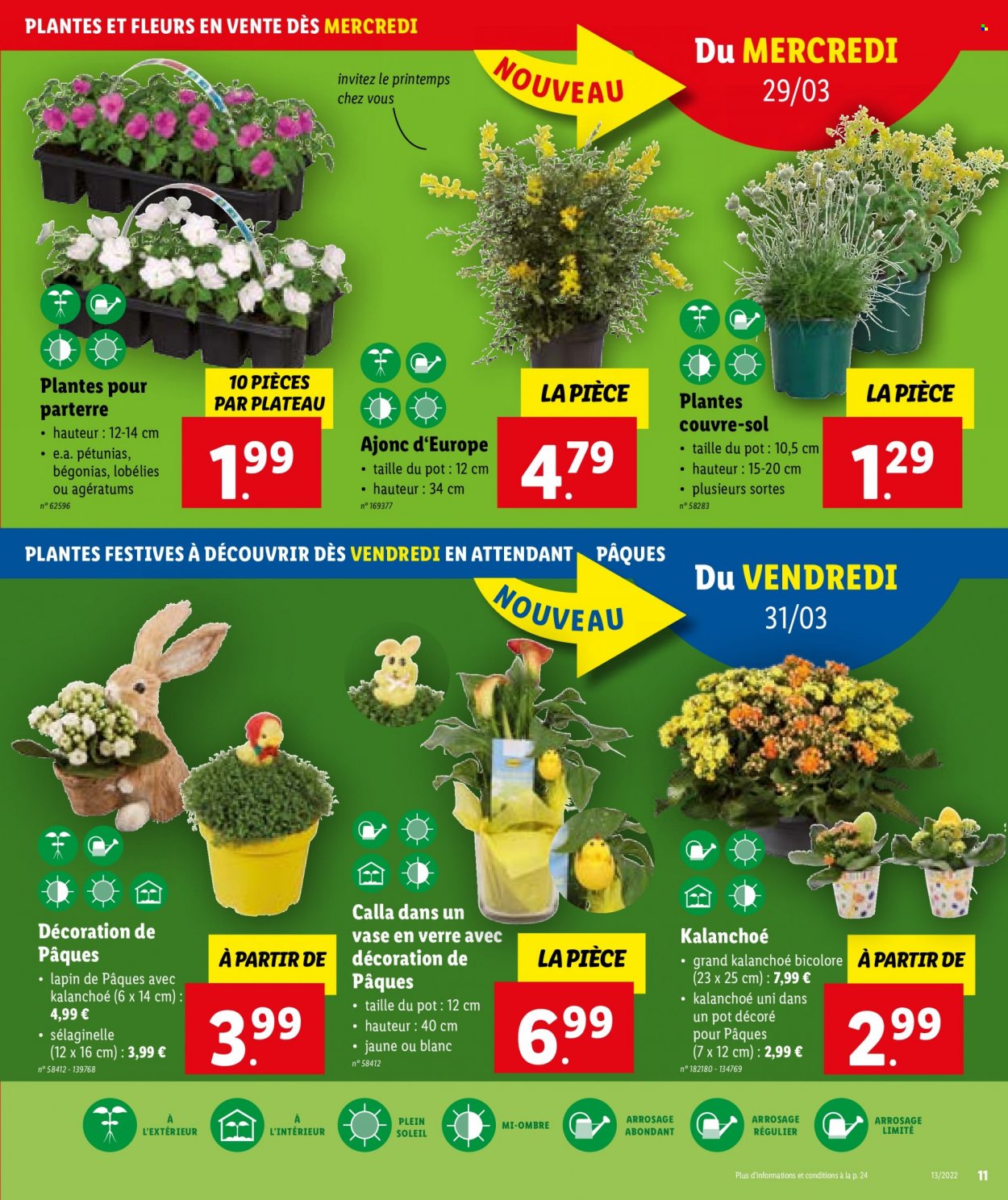 Catalogue Lidl - 29.3.2023 - 4.4.2023. Page 11.