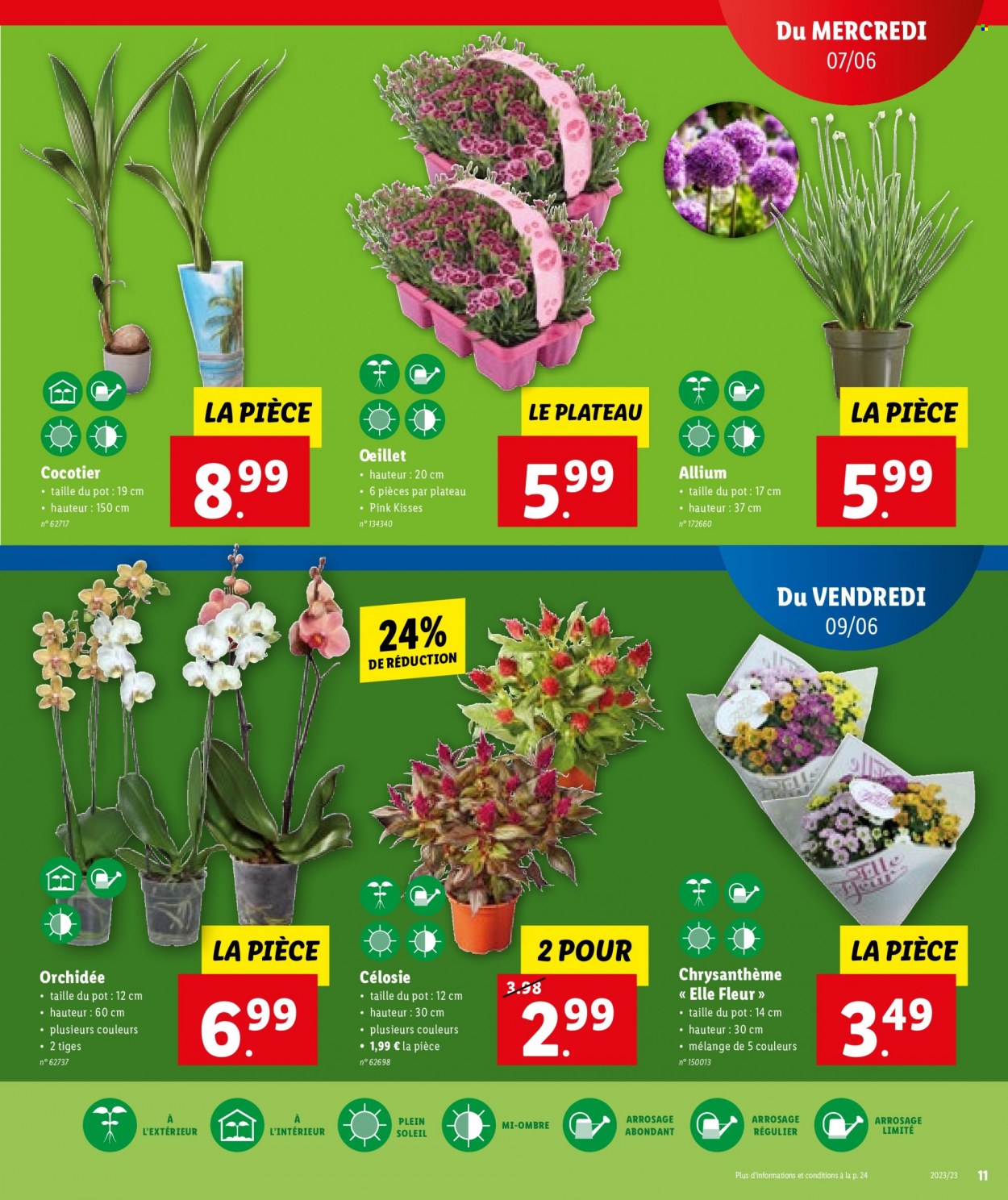 Catalogue Lidl - 7.6.2023 - 13.6.2023. Page 13.