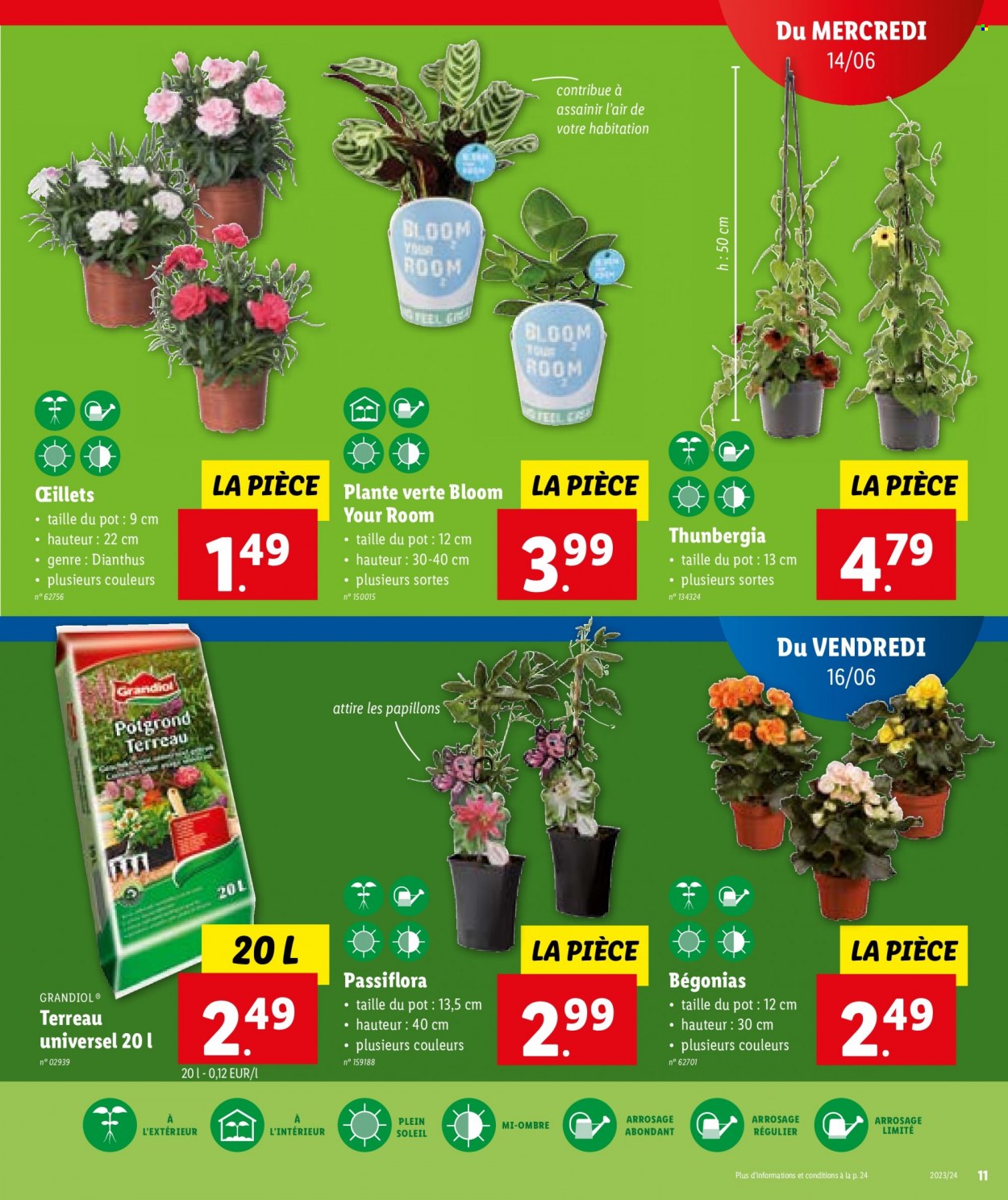 Catalogue Lidl - 14.6.2023 - 20.6.2023. Page 11.