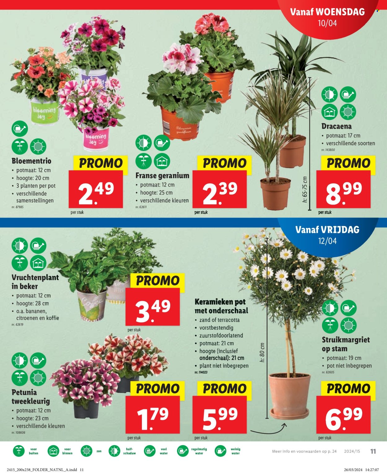 Catalogue Lidl - 10.4.2024 - 16.4.2024. Page 15.