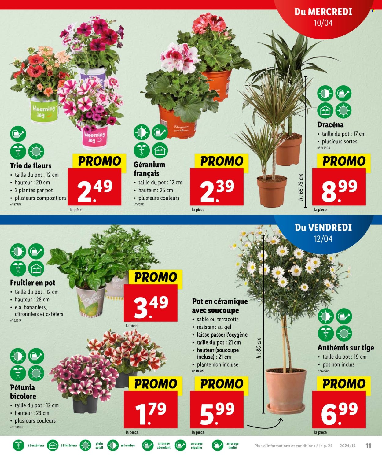 Catalogue Lidl - 10.4.2024 - 16.4.2024. Page 15.