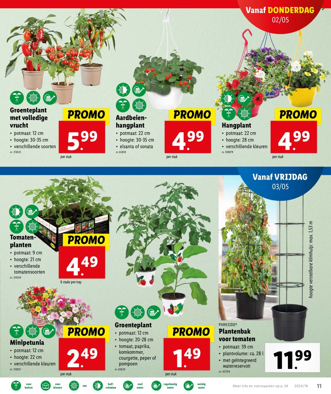 Catalogue Lidl - 2.5.2024 - 7.5.2024. Page 12.