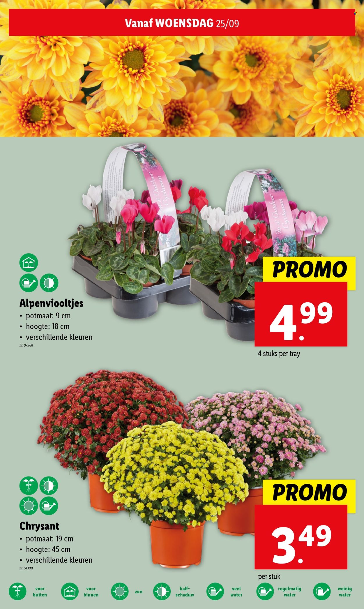 Catalogue Lidl - 25.9.2024 - 1.10.2024. Page 20.