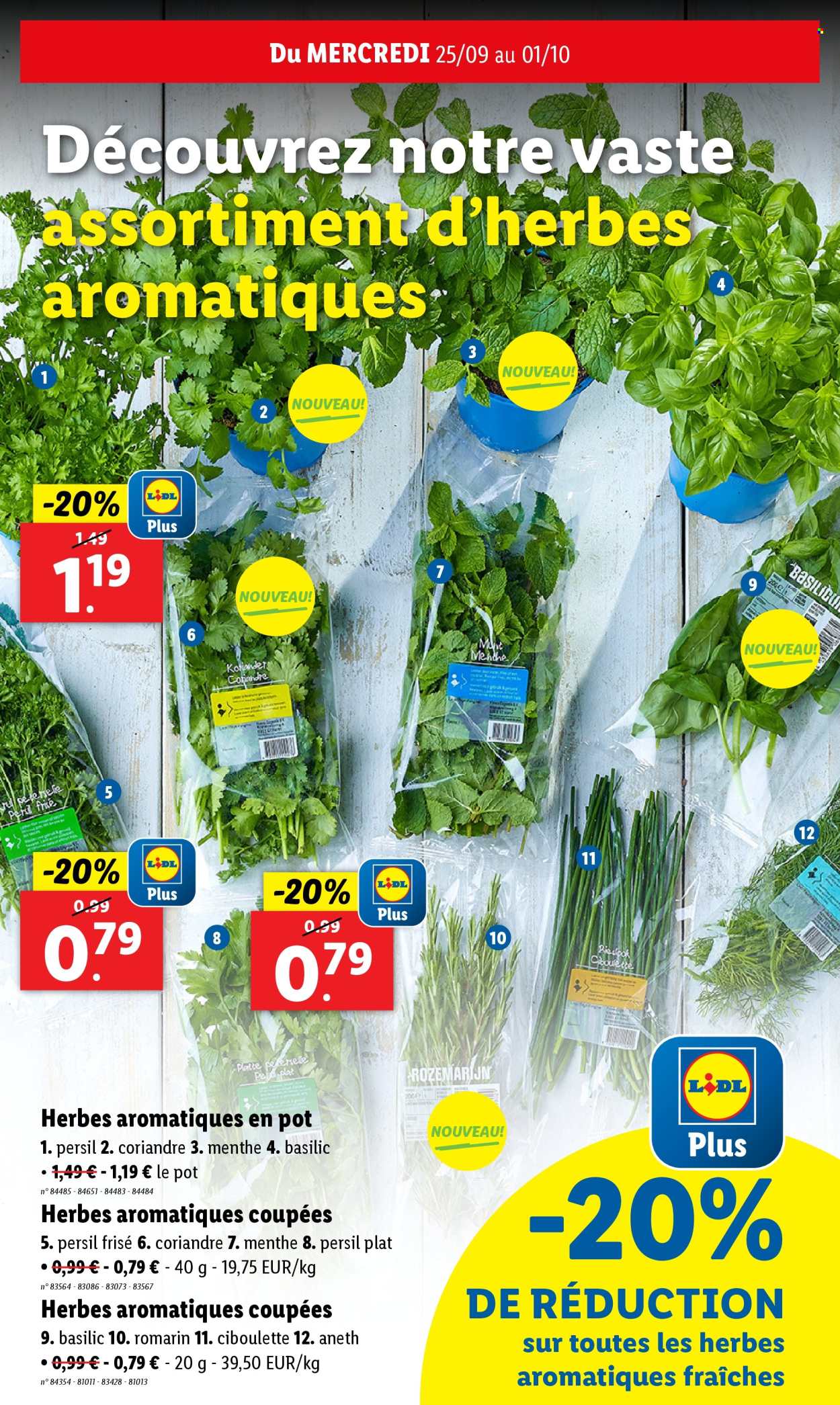 Catalogue Lidl - 25.9.2024 - 1.10.2024. Page 3.