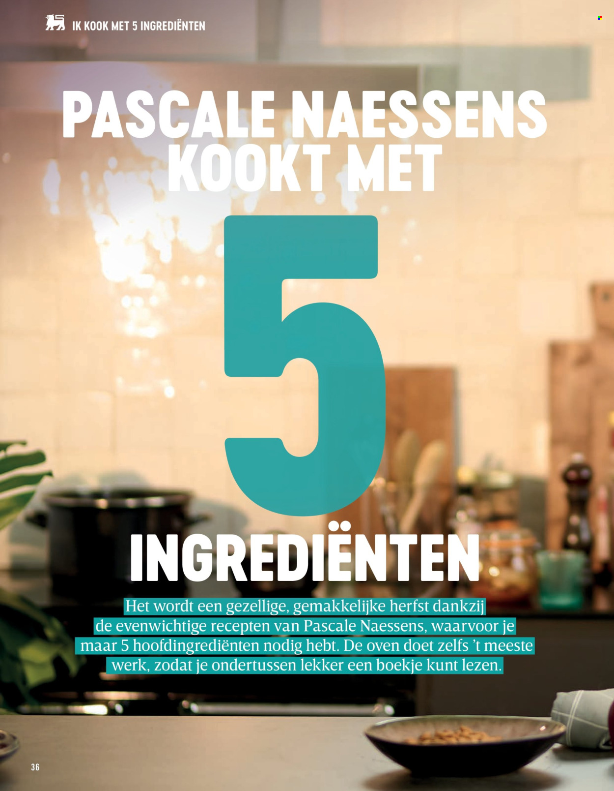 Catalogue Delhaize. Page 36.