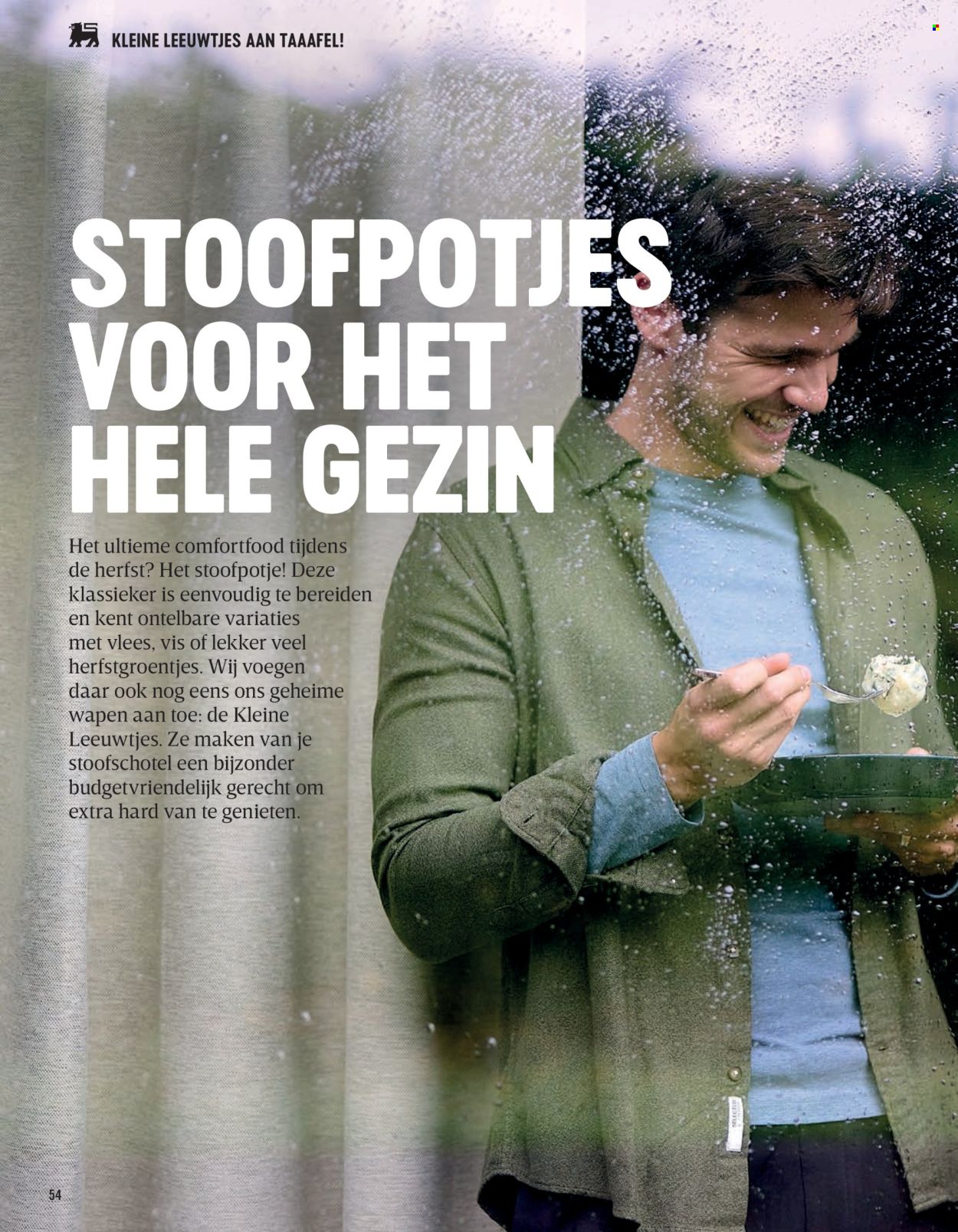 Catalogue Delhaize. Page 54.