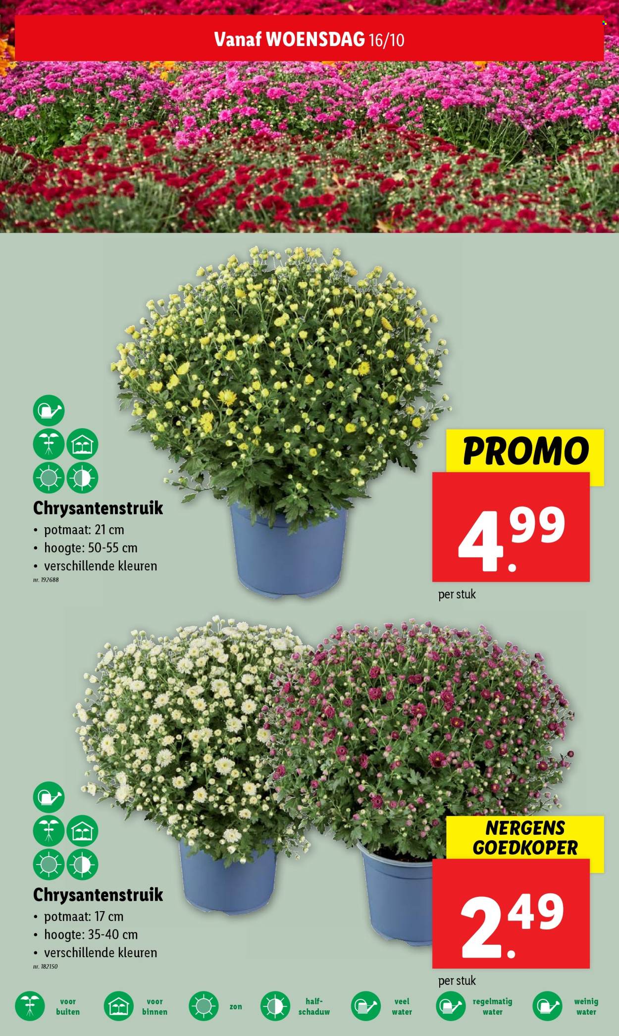 Catalogue Lidl - 16.10.2024 - 22.10.2024. Page 16.