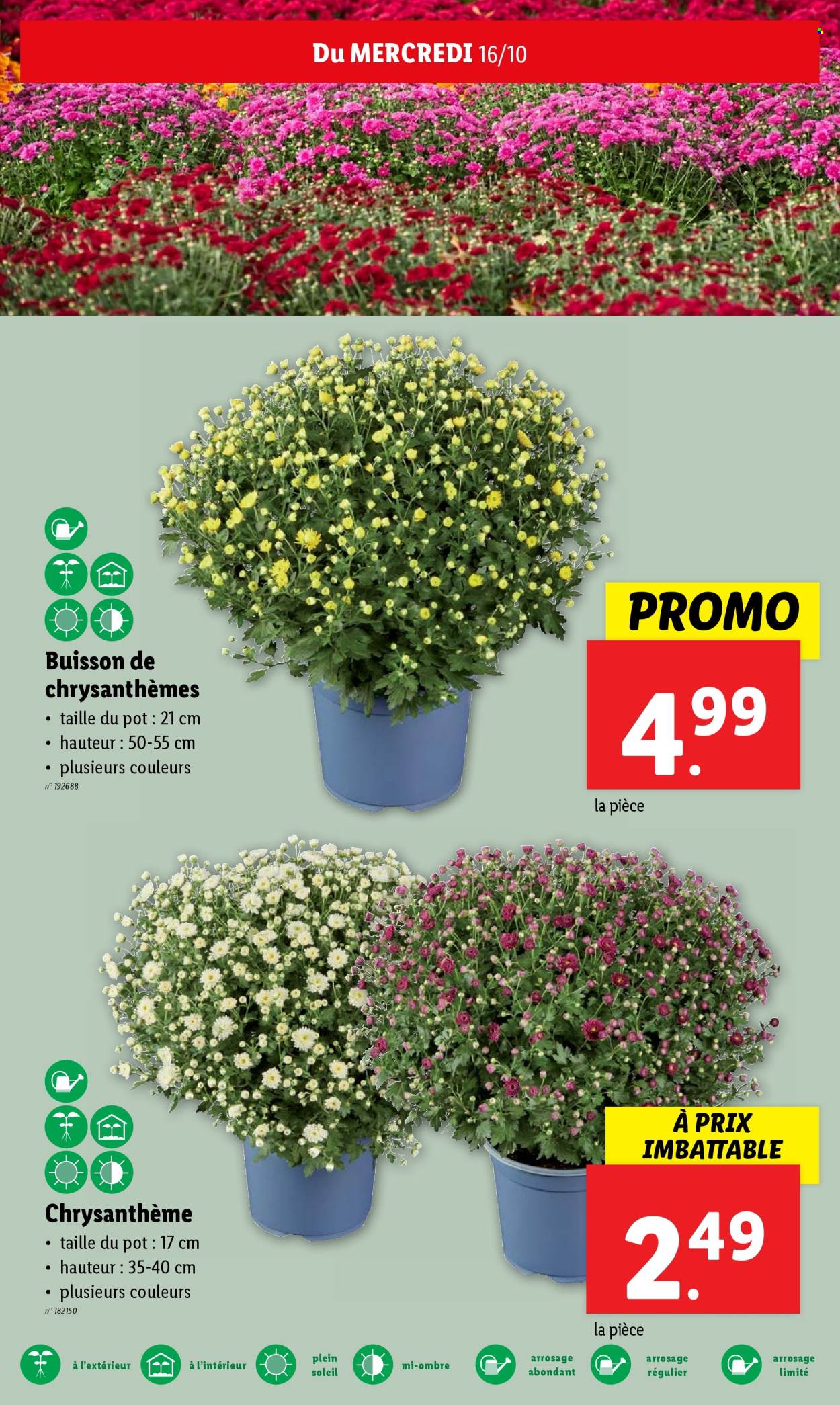 Catalogue Lidl - 16.10.2024 - 22.10.2024. Page 16.