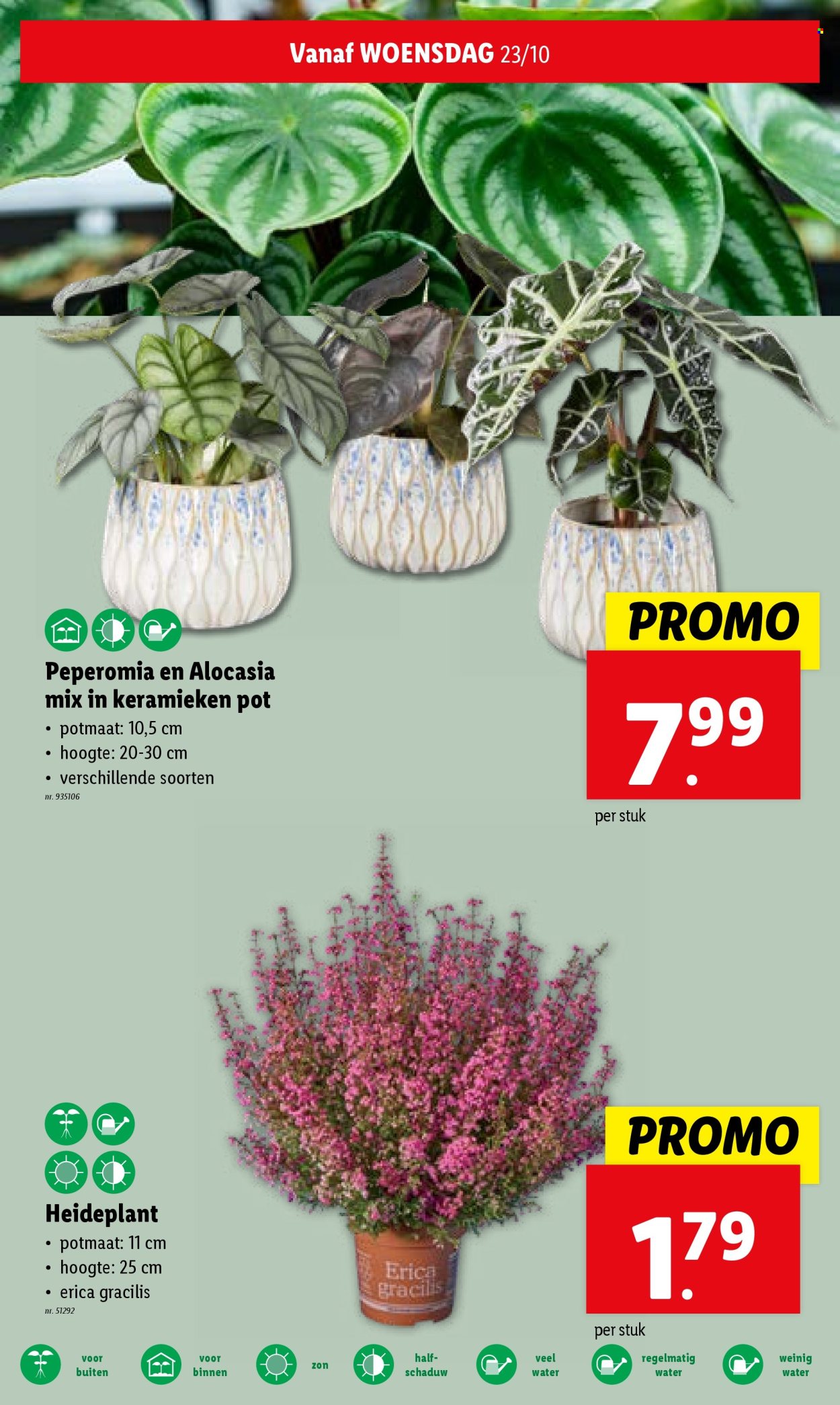 Catalogue Lidl - 23.10.2024 - 29.10.2024. Page 26.