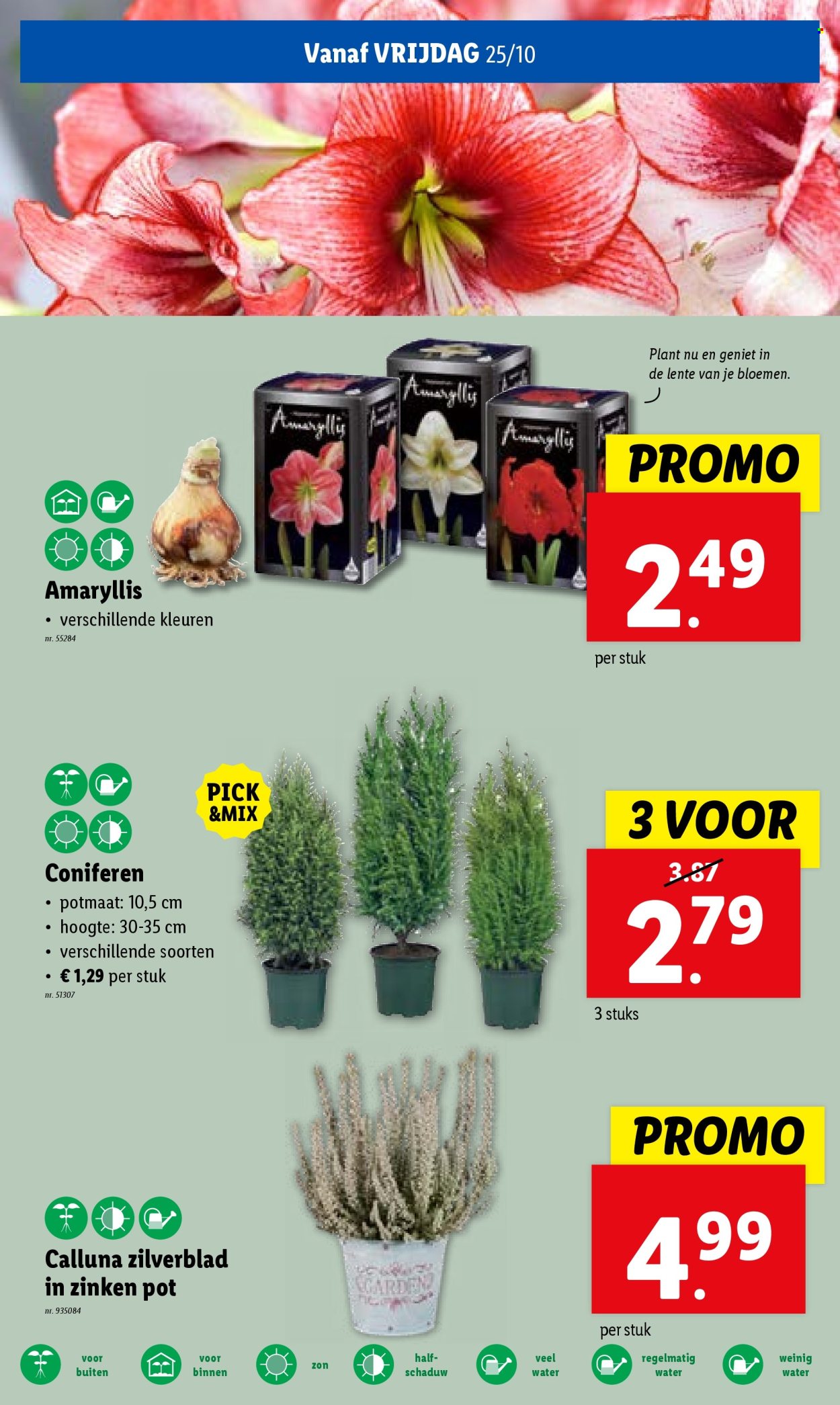 Catalogue Lidl - 23.10.2024 - 29.10.2024. Page 27.