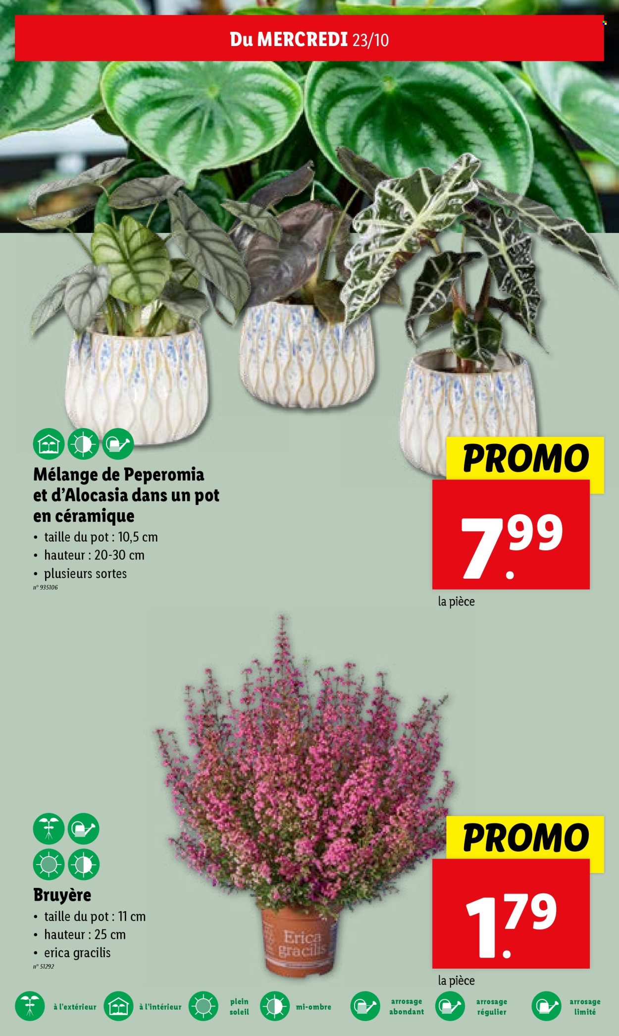 Catalogue Lidl - 23.10.2024 - 29.10.2024. Page 26.