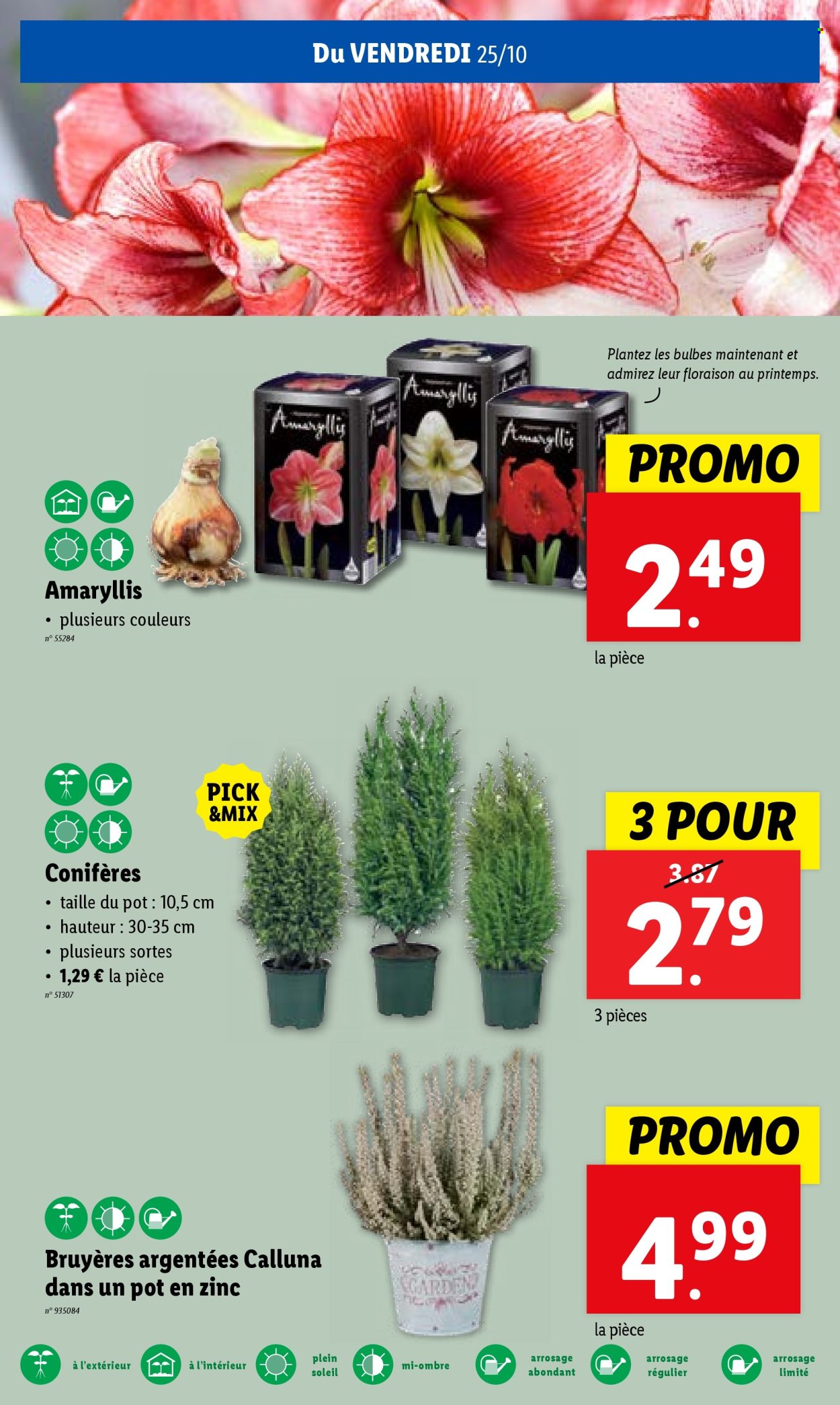 Catalogue Lidl - 23.10.2024 - 29.10.2024. Page 27.