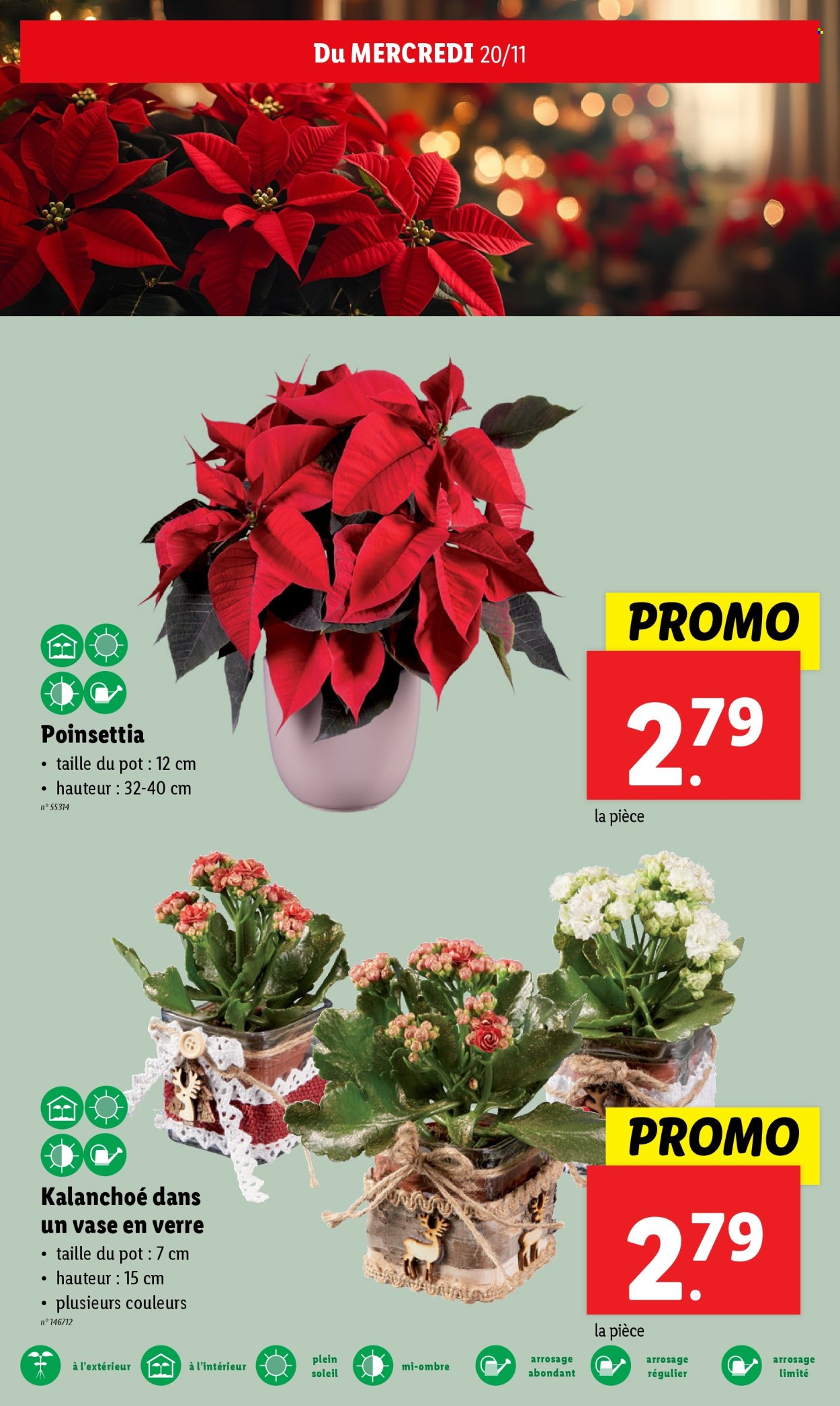 Catalogue Lidl - 20.11.2024 - 26.11.2024. Page 20.