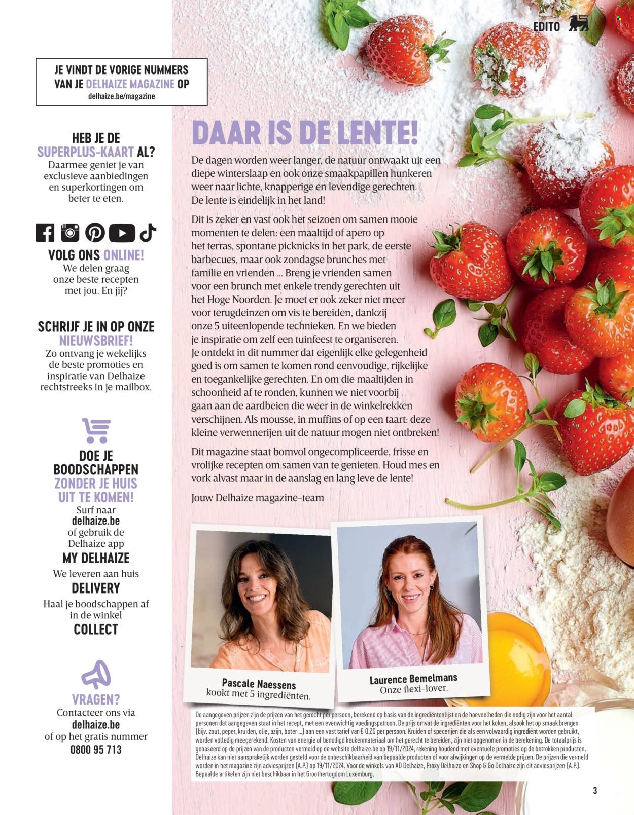 Catalogue Delhaize. Page 3.