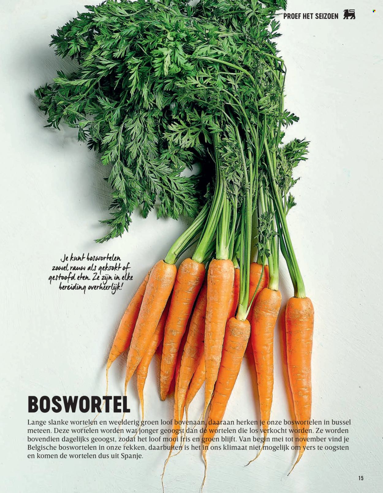 Catalogue Delhaize. Page 15.