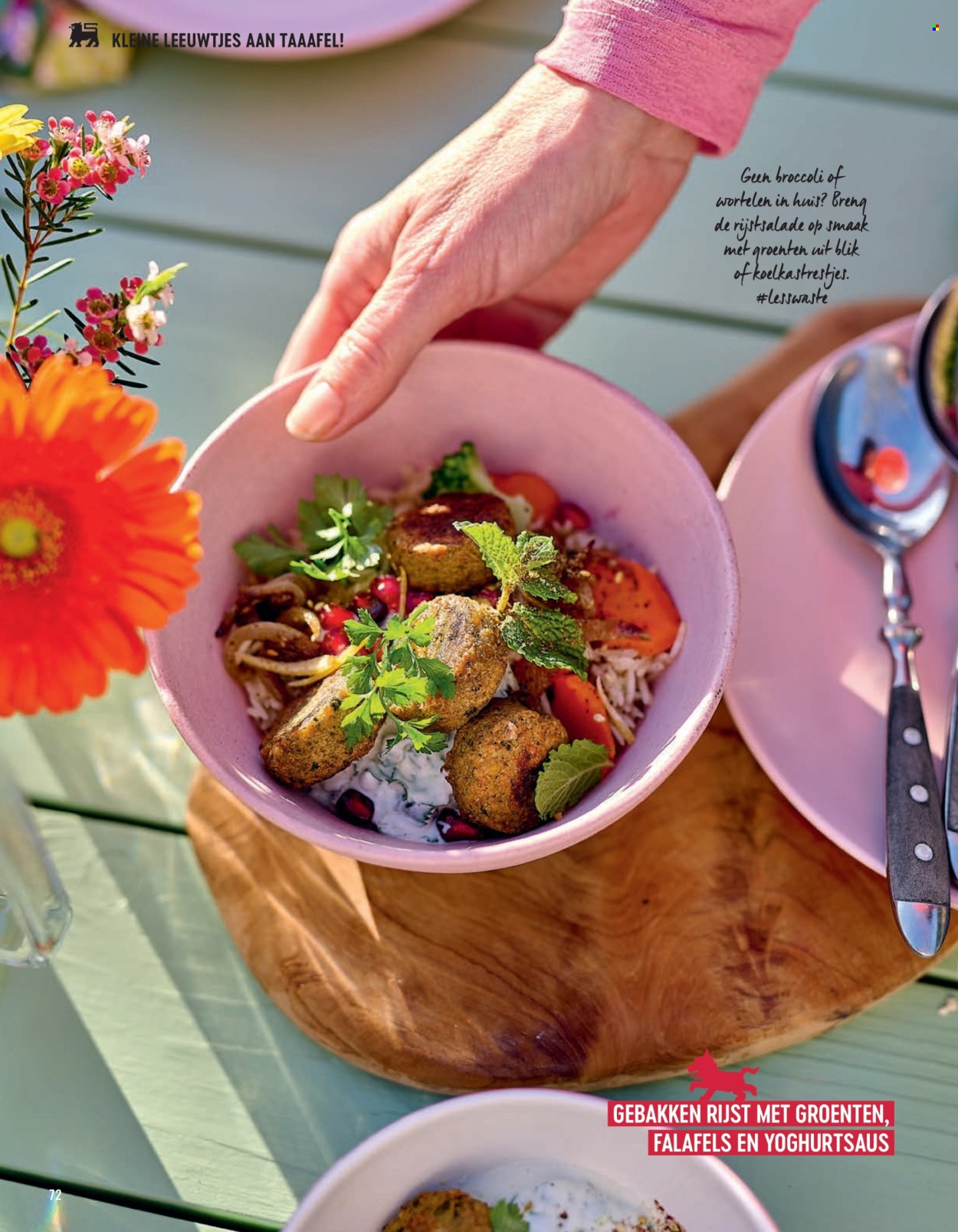 Catalogue Delhaize. Page 72.