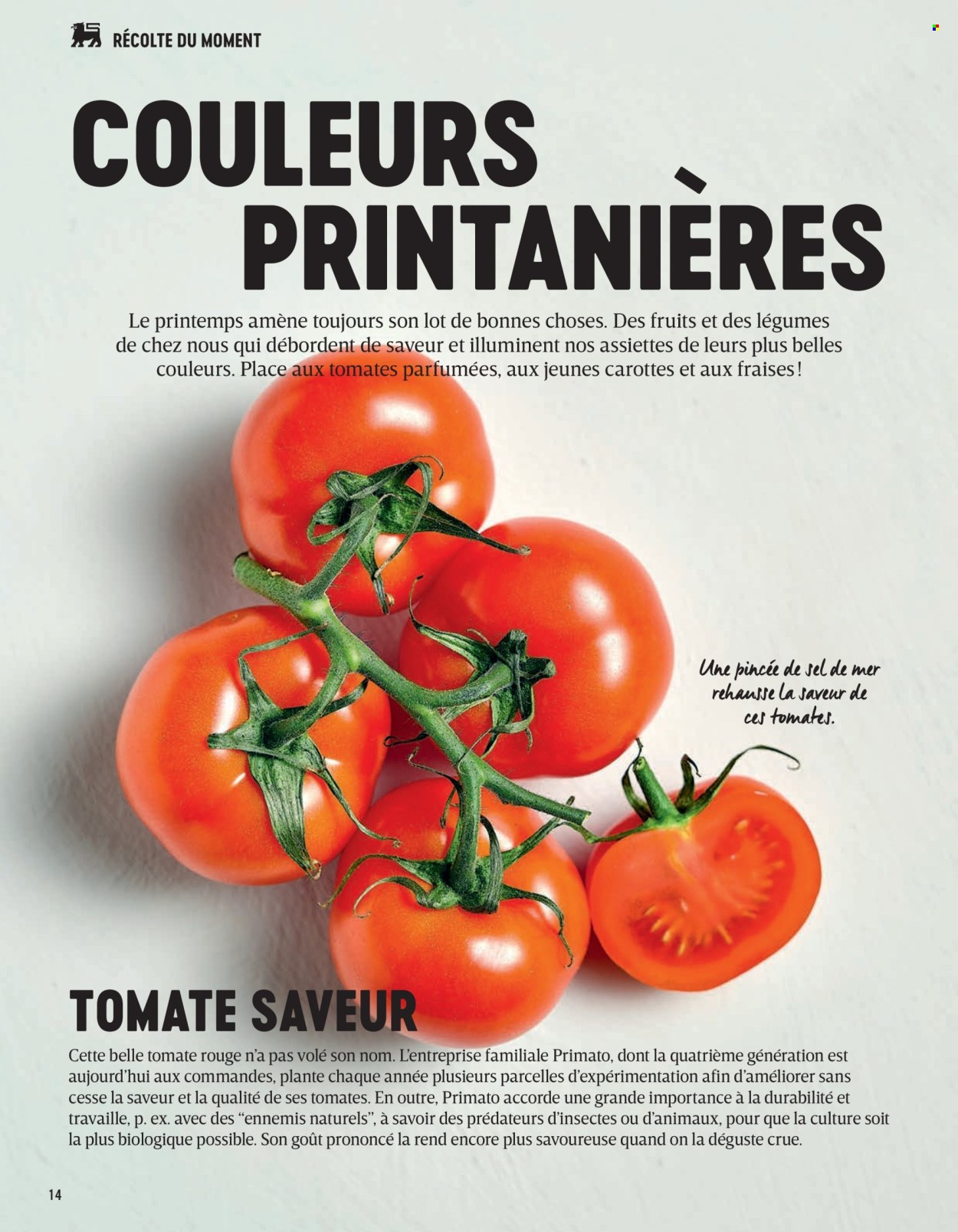 Catalogue Delhaize. Page 14.