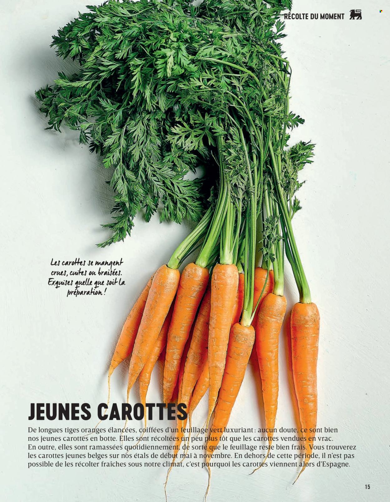 Catalogue Delhaize. Page 15.