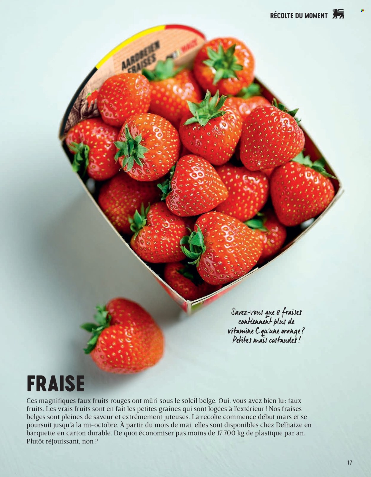 Catalogue Delhaize. Page 17.