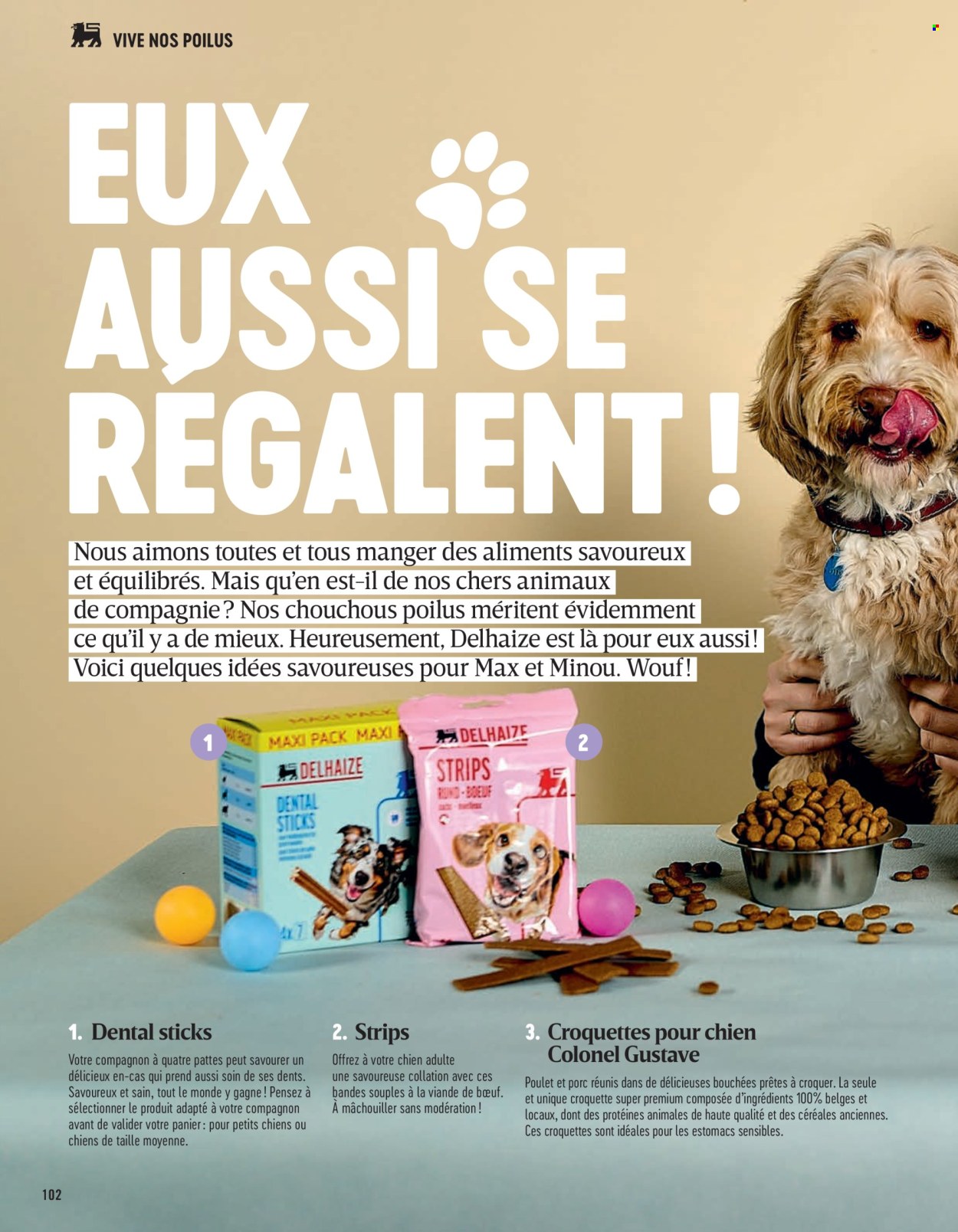 Catalogue Delhaize. Page 102.