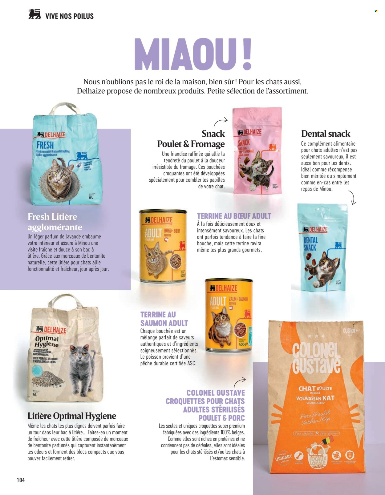 Catalogue Delhaize. Page 104.