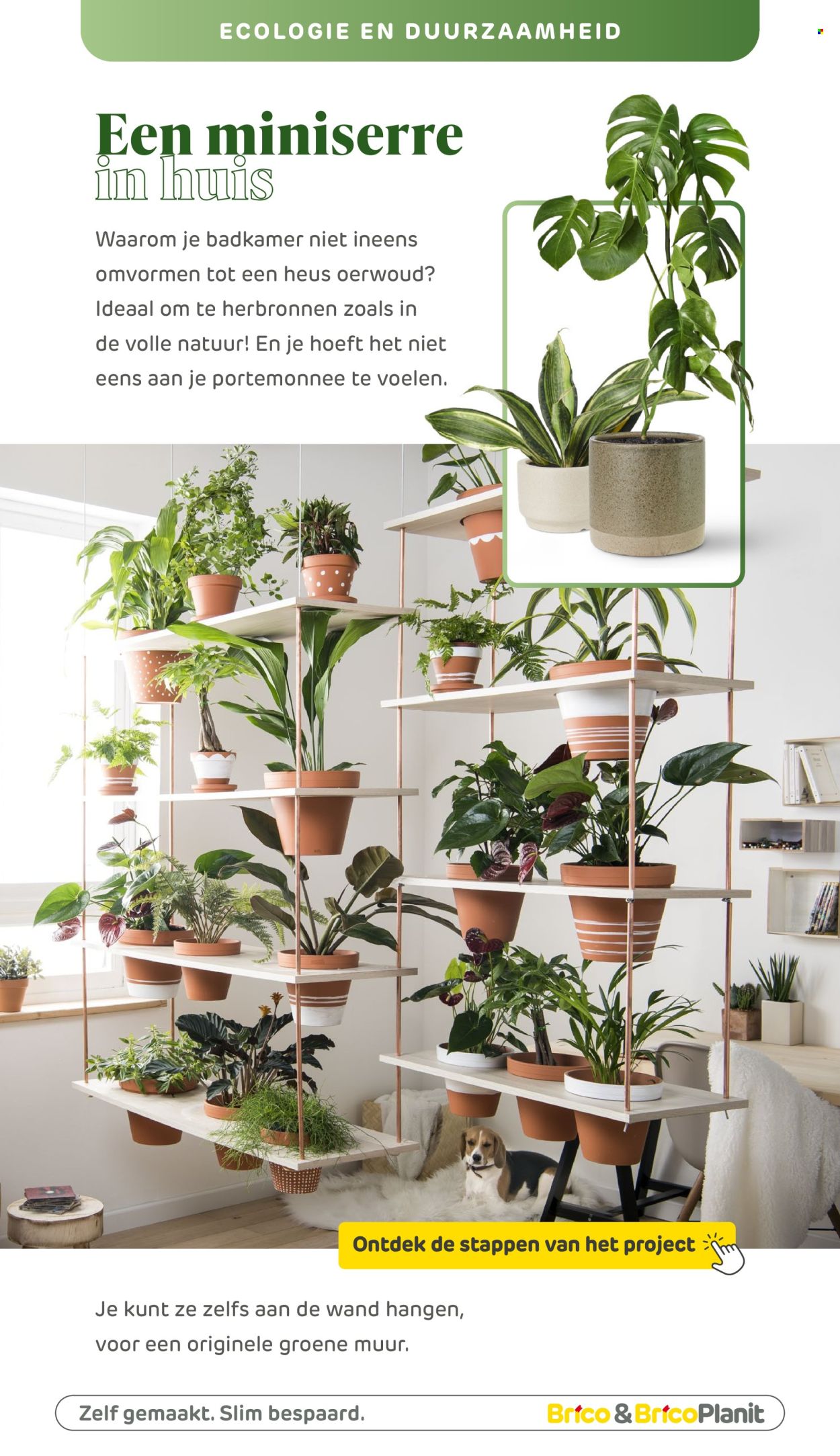 Catalogue Brico. Page 105.