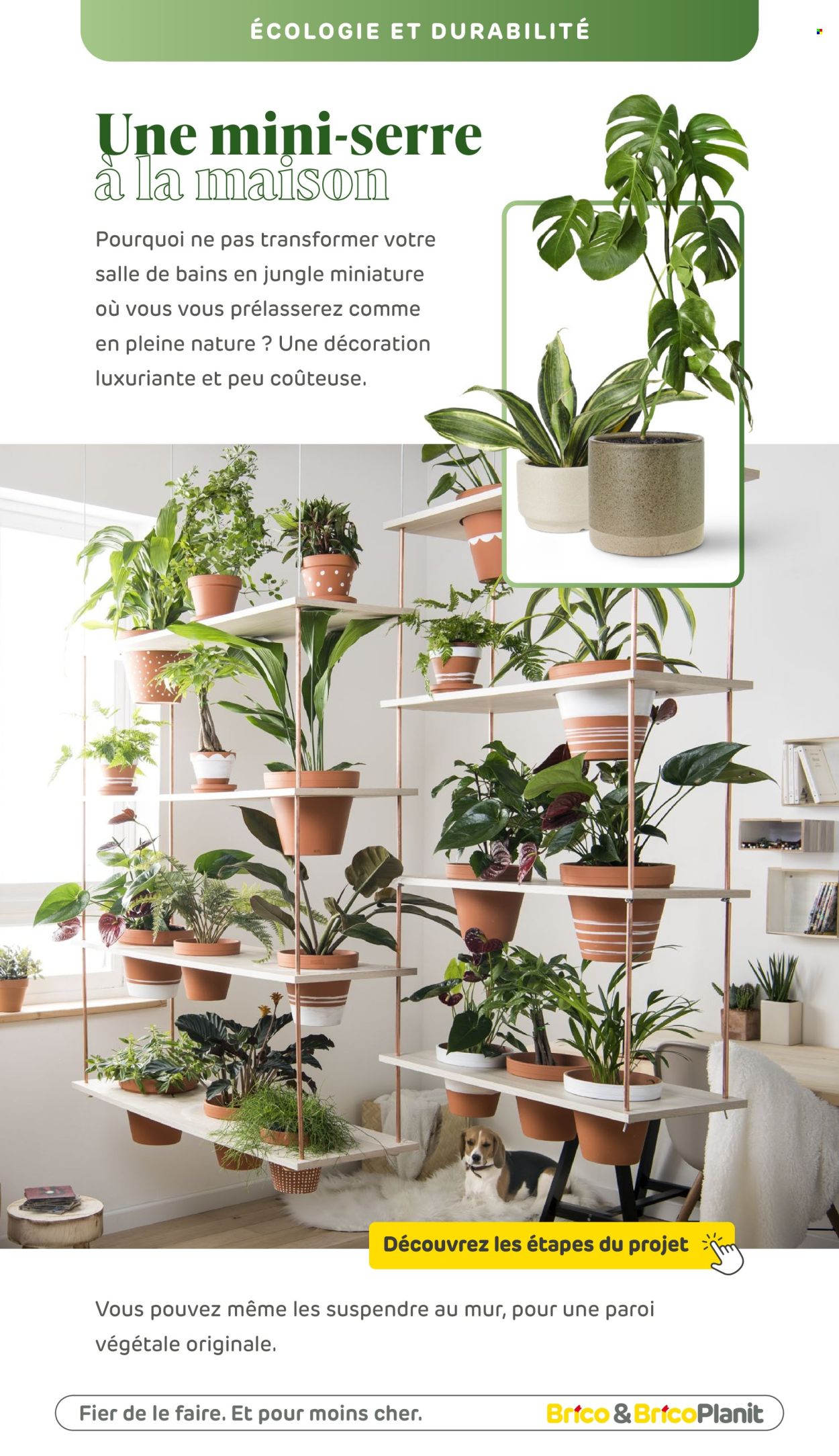 Catalogue Brico. Page 105.