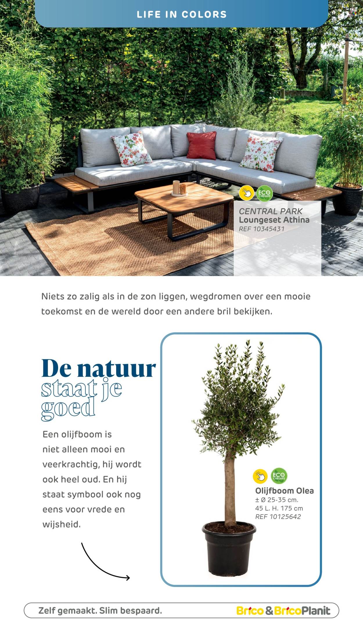 Catalogue Brico. Page 8.